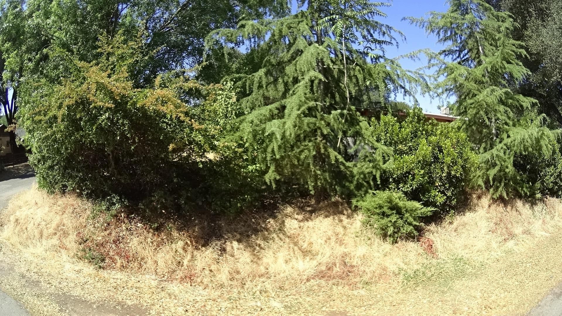Street view near Doe's Cottage, Mariposa — © marker_geo (CC BY-SA · Mapillary)