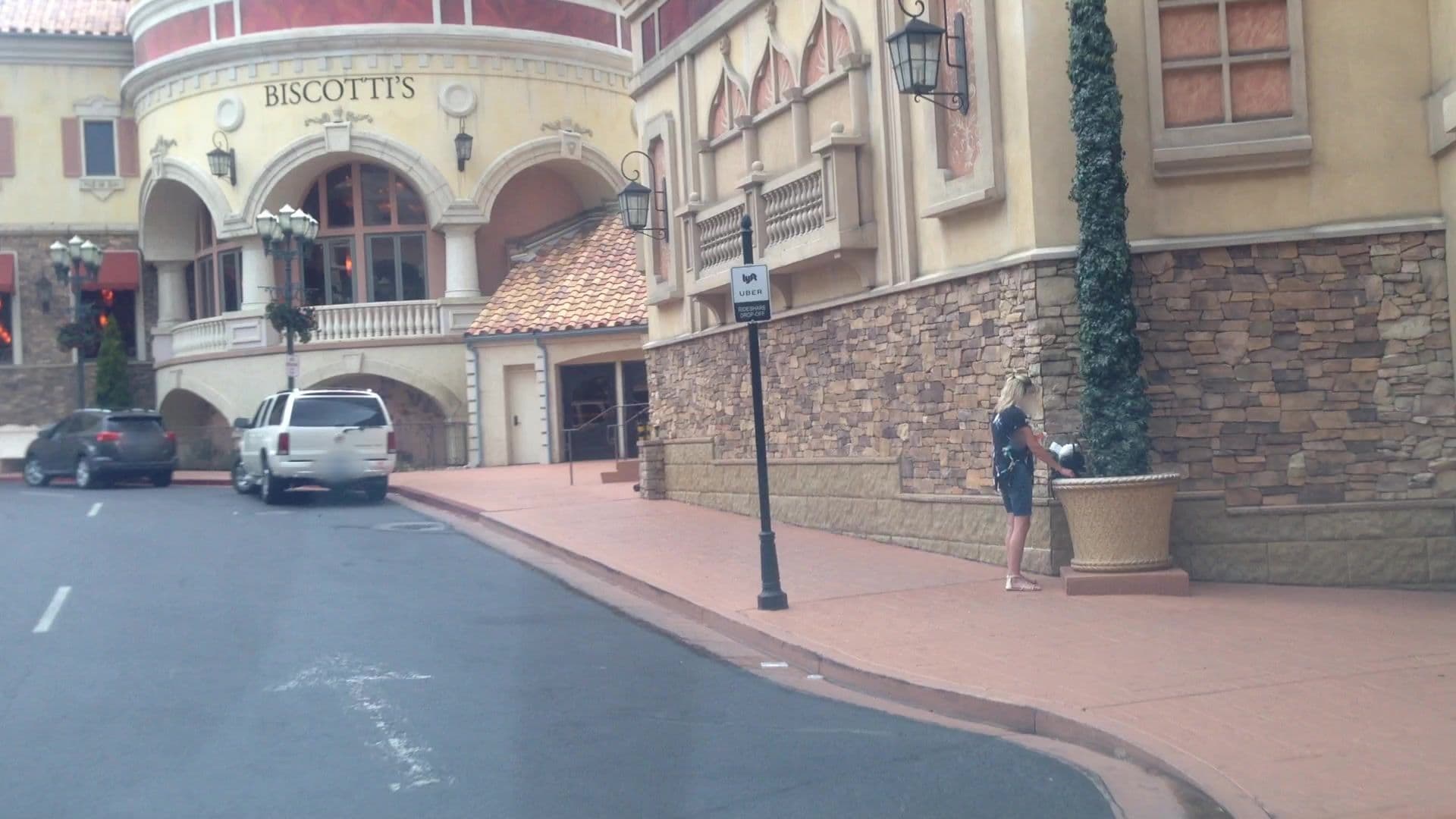 Street view near Peppermill Tower, Reno — © lvl5 (CC BY-SA · Mapillary)