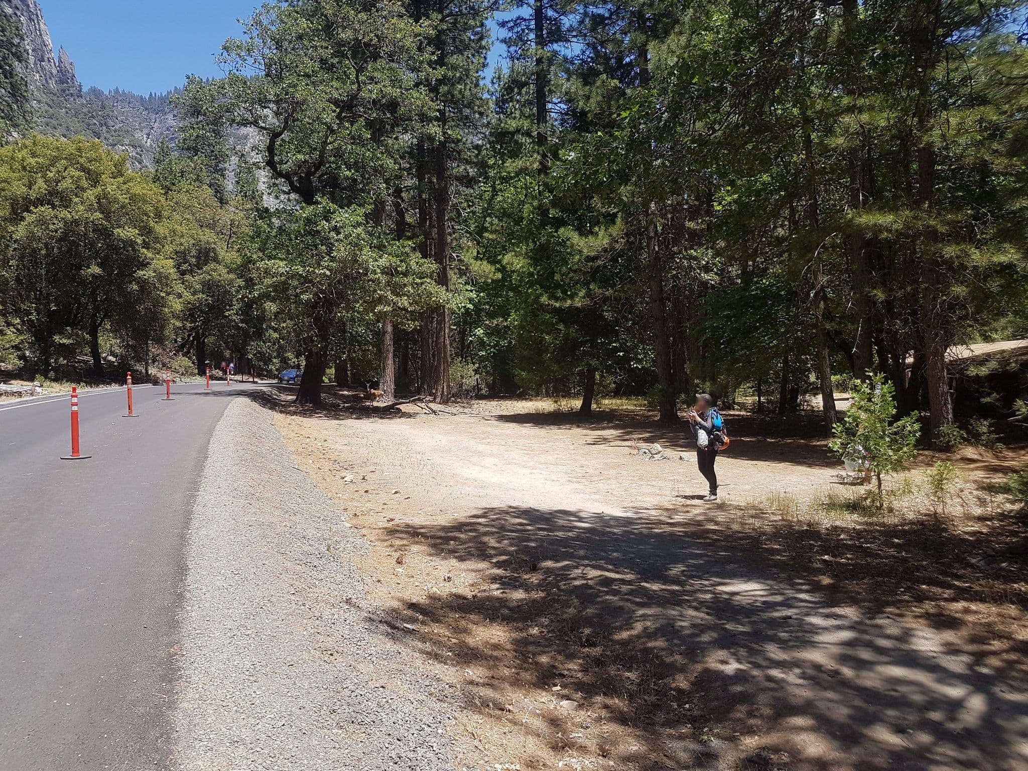 Street view near Cottonwood Building, Yosemite Valley — © brightj (CC BY-SA · Mapillary)