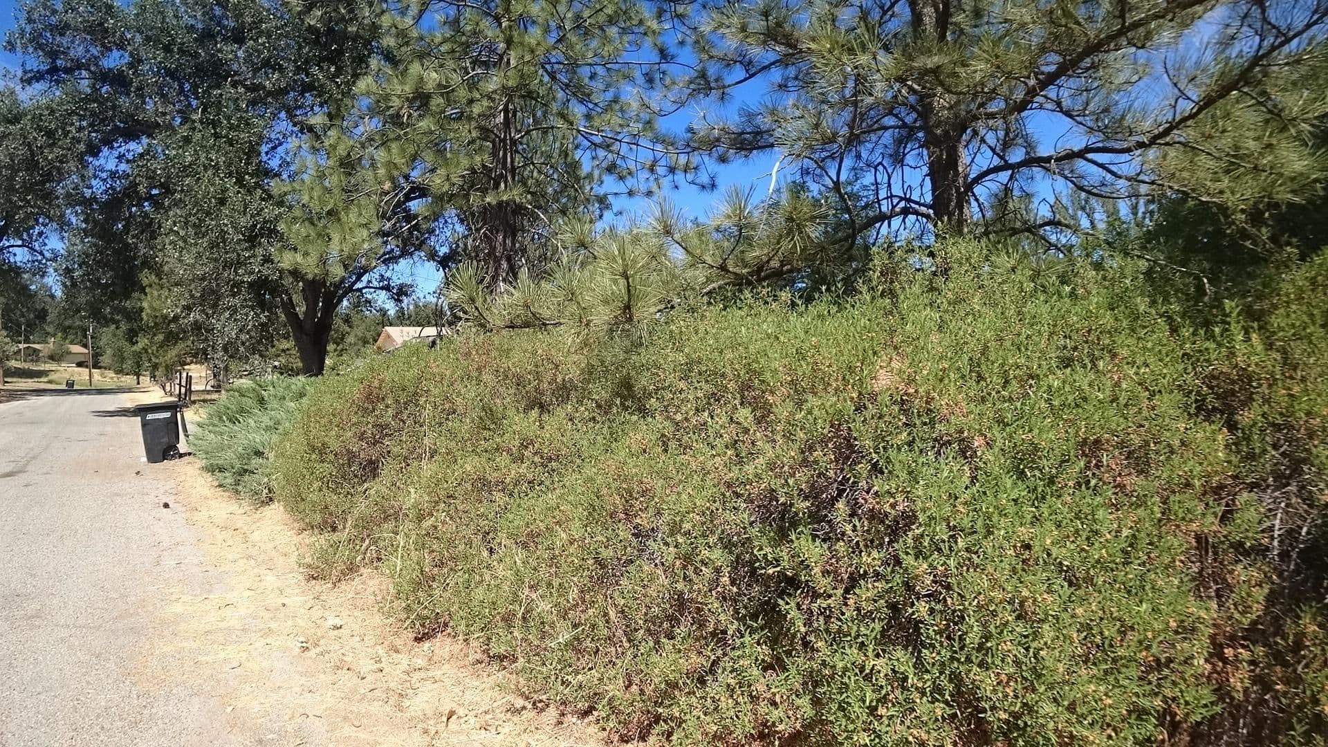 Street view near Birdsong Creek Pony Retreat, Ahwahnee — © marker_geo (CC BY-SA · Mapillary)