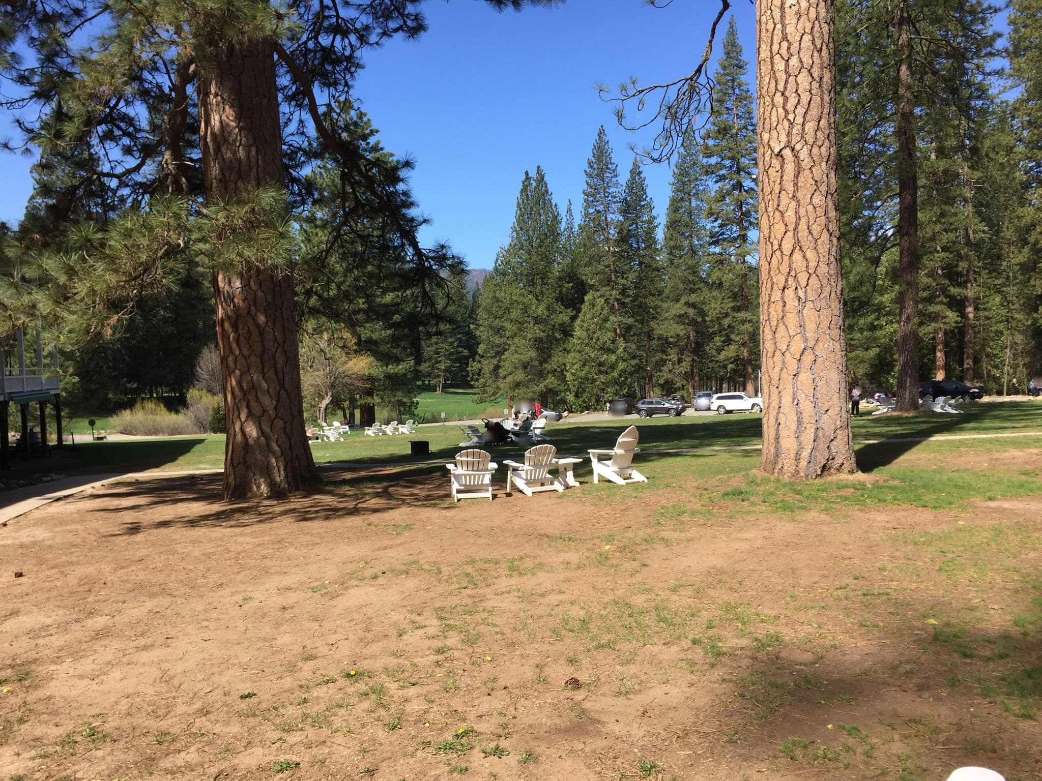 Street view near Big Trees Lodge, Ahwahnee — © till (CC BY-SA · Mapillary)