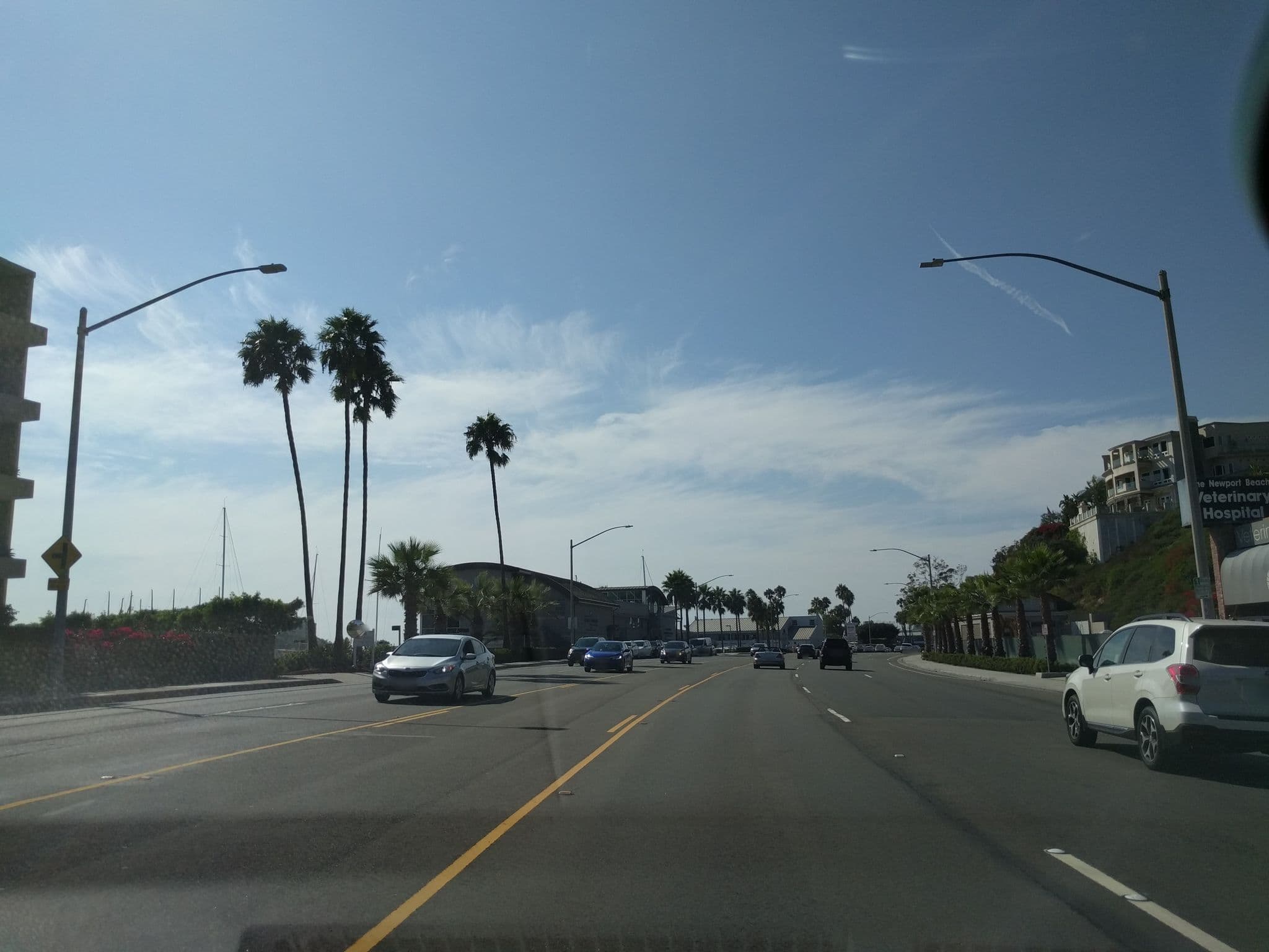Street view near Cohen, Jeffrey S DVM DACVIM, Newport Beach — © mly_lax03 (CC BY-SA · Mapillary)