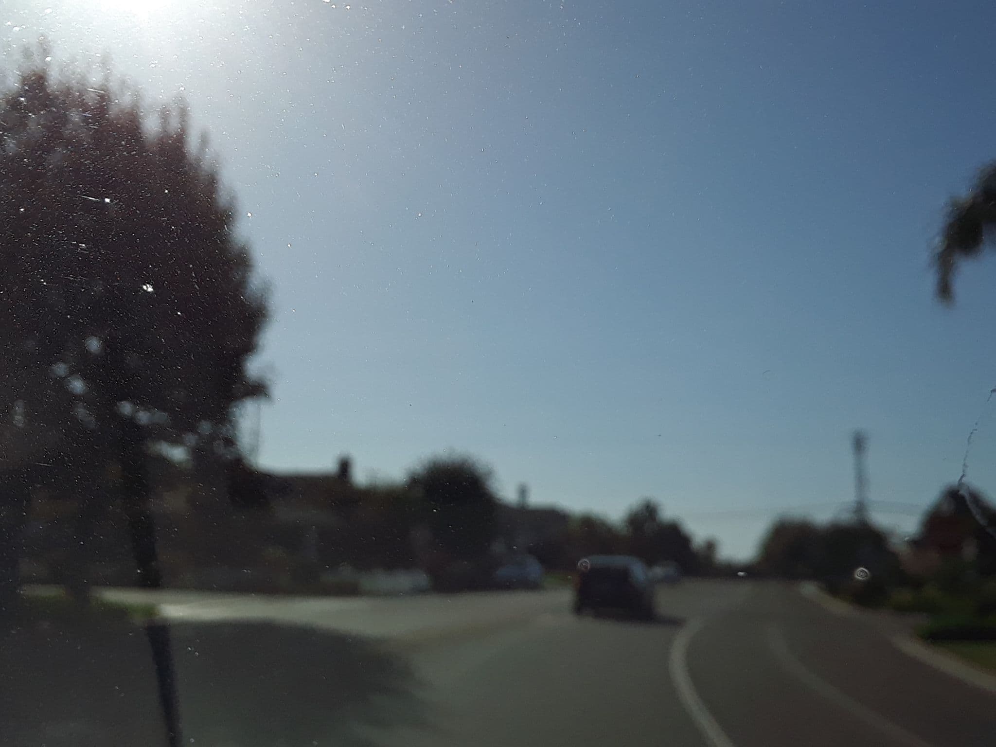 Street view near Miller Suite, Newport Beach — © mly_lax03 (CC BY-SA · Mapillary)