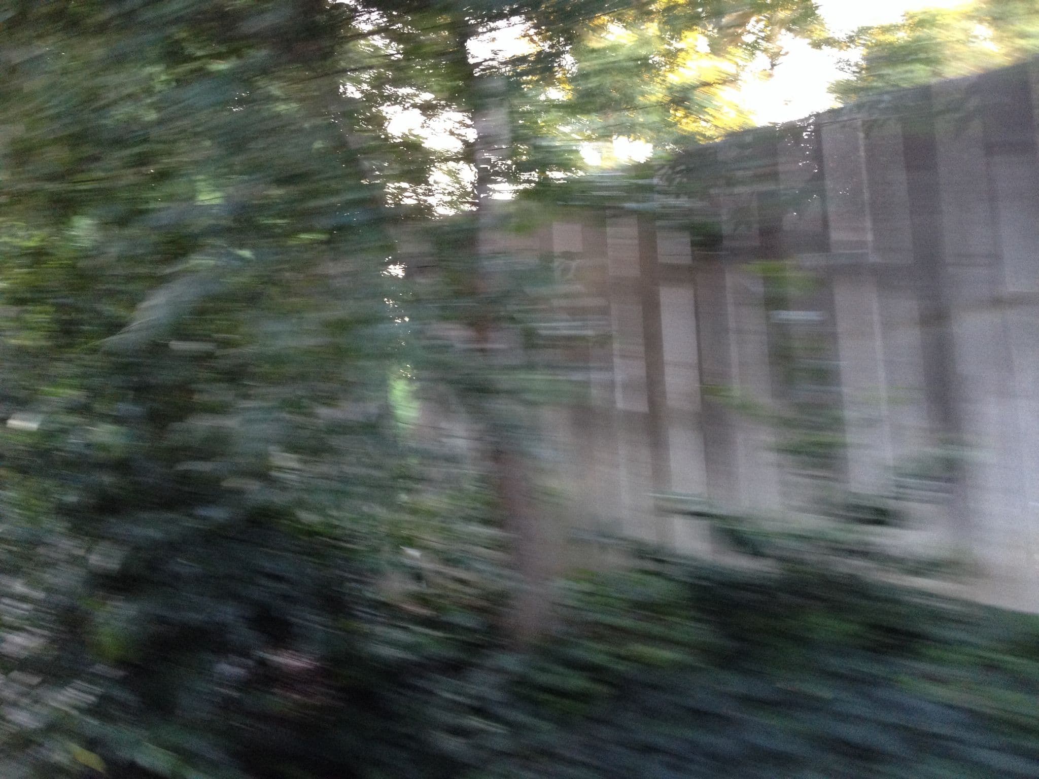 Street view near Happiest Haunts Tour, Anaheim — © brian_brea (CC BY-SA · Mapillary)