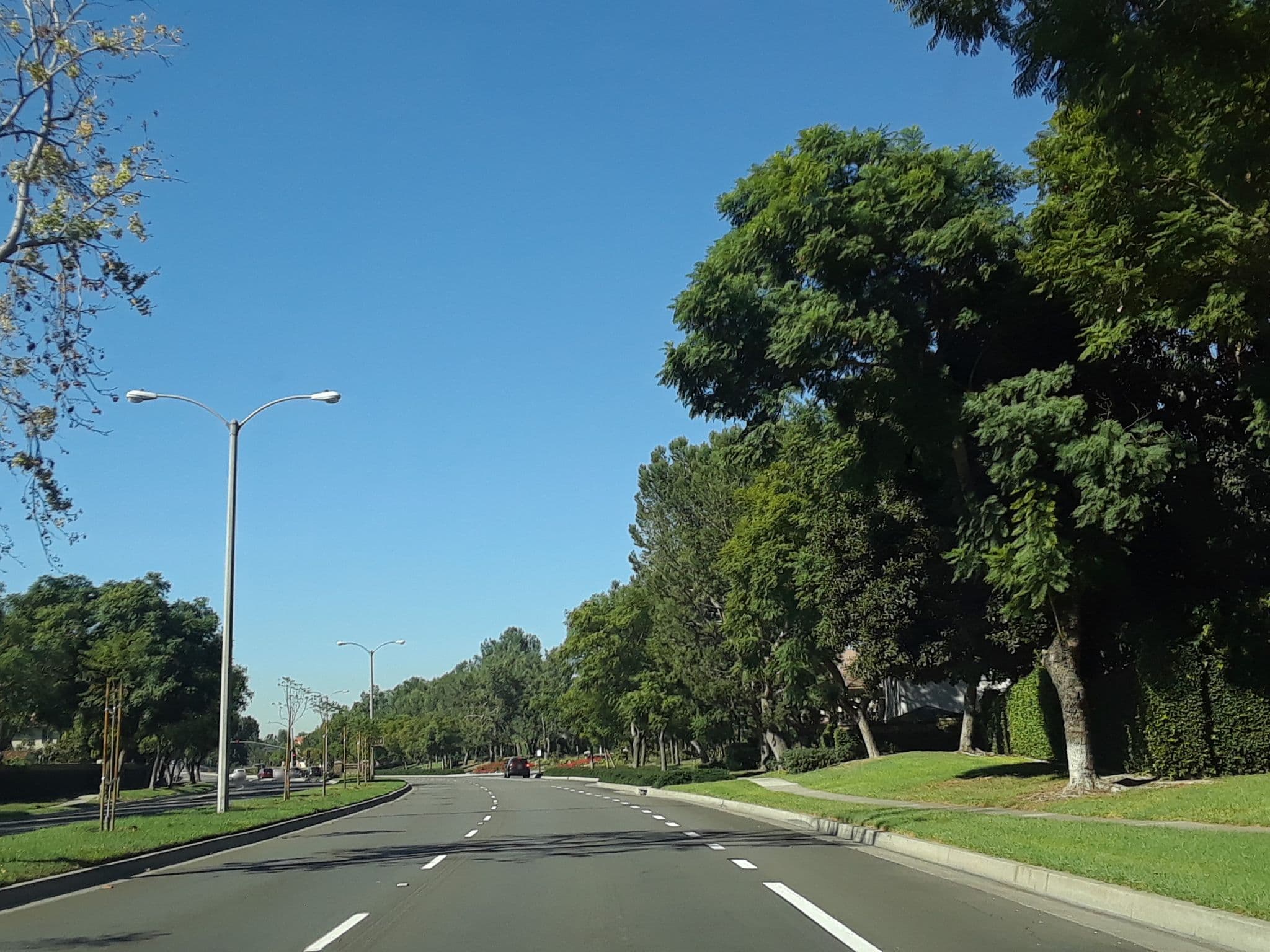 Street view near Billy's Bed Bug Boarding, Walnut Village — © mly_lax03 (CC BY-SA · Mapillary)