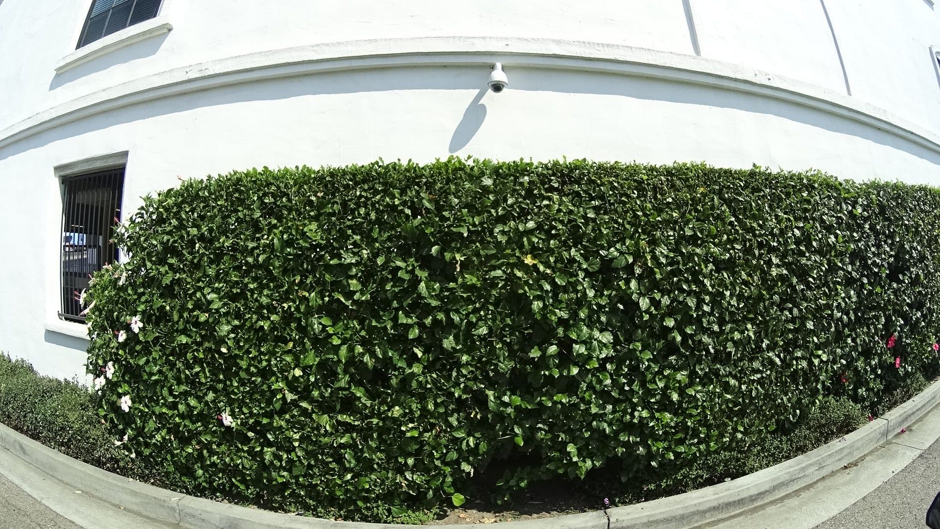 Street view near Kehoe Plaza Suites, San Clemente — © marker_geo (CC BY-SA · Mapillary)