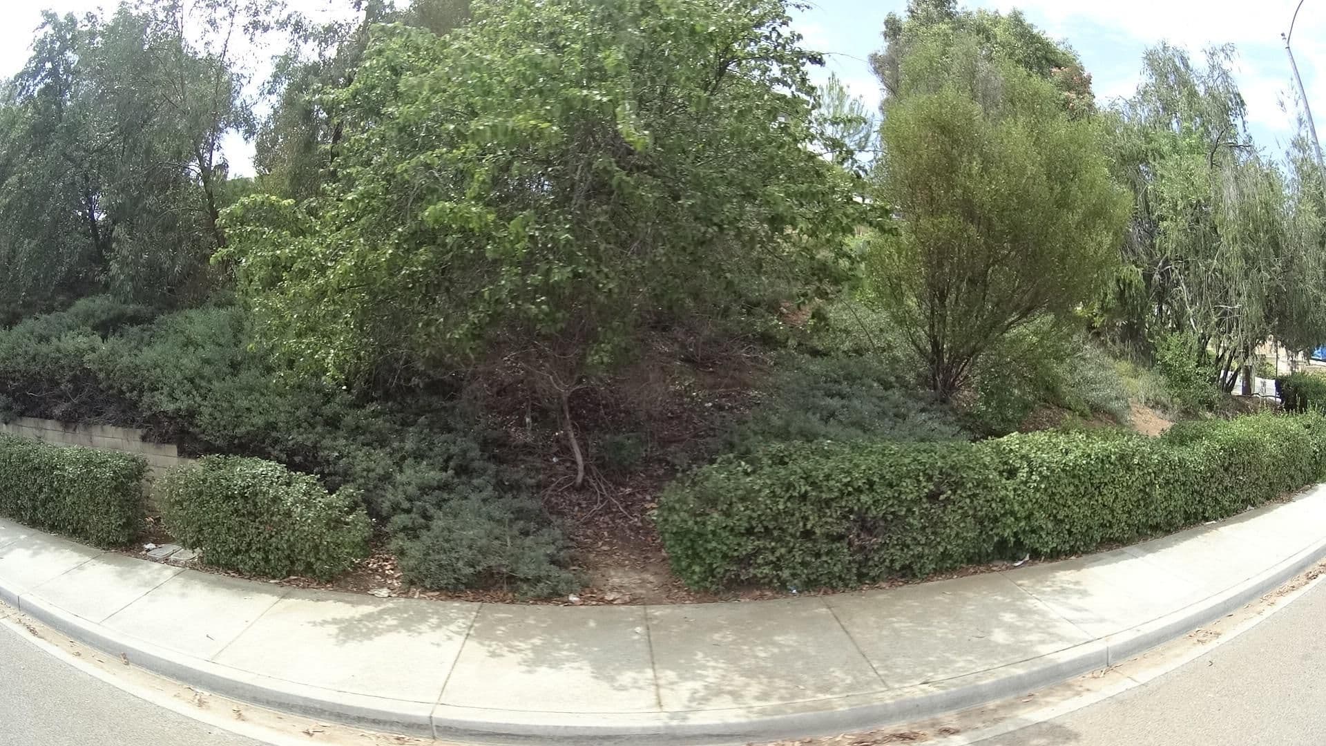 Street view near Cousins House, Escondido — © marker_geo (CC BY-SA · Mapillary)