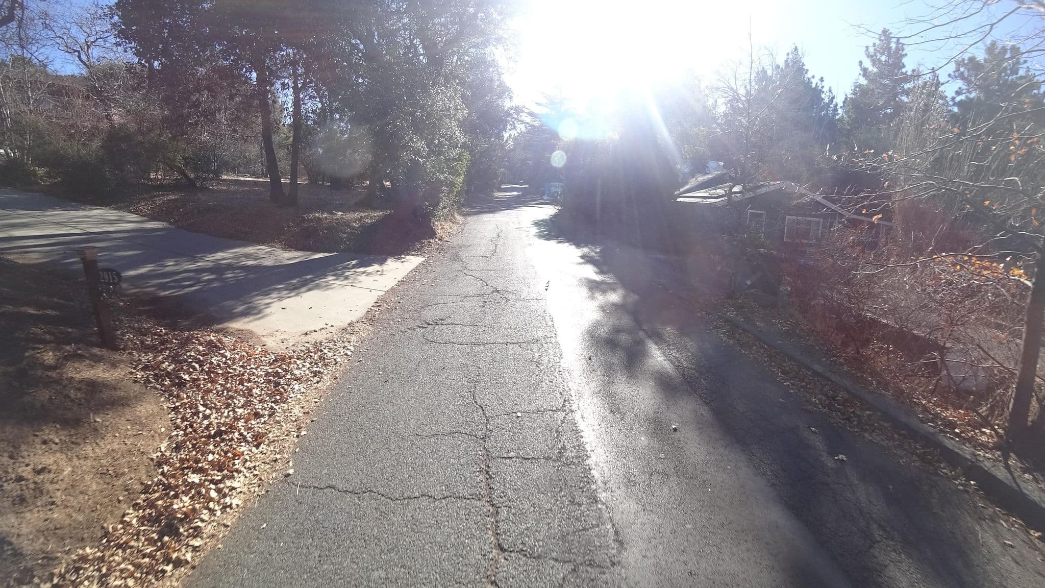 Street view near Pheasant Hills Cabin, Julian — © marker_geo (CC BY-SA · Mapillary)