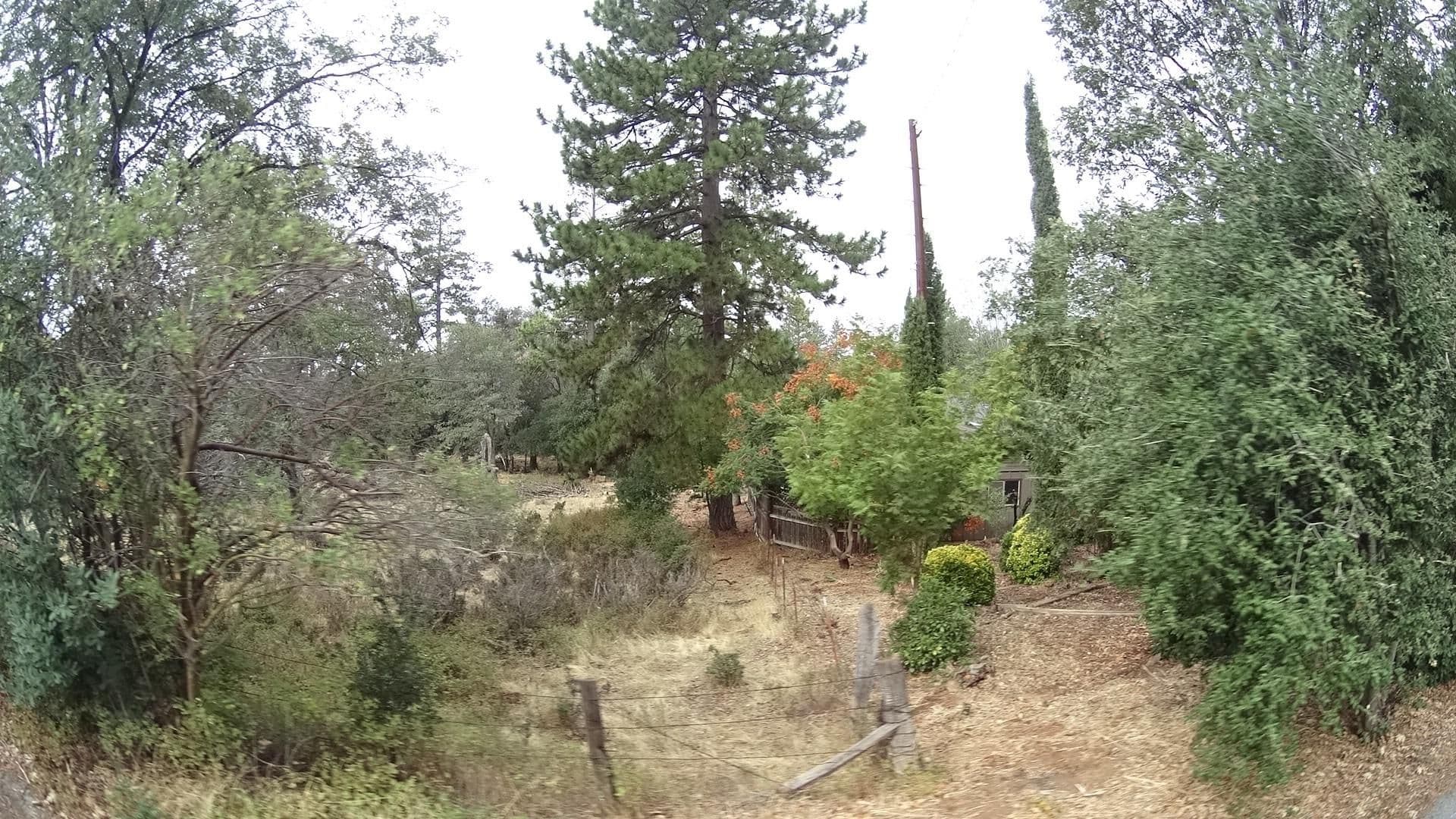 Street view near Julian Weaving Bed & Breakfast, Julian — © marker_geo (CC BY-SA · Mapillary)