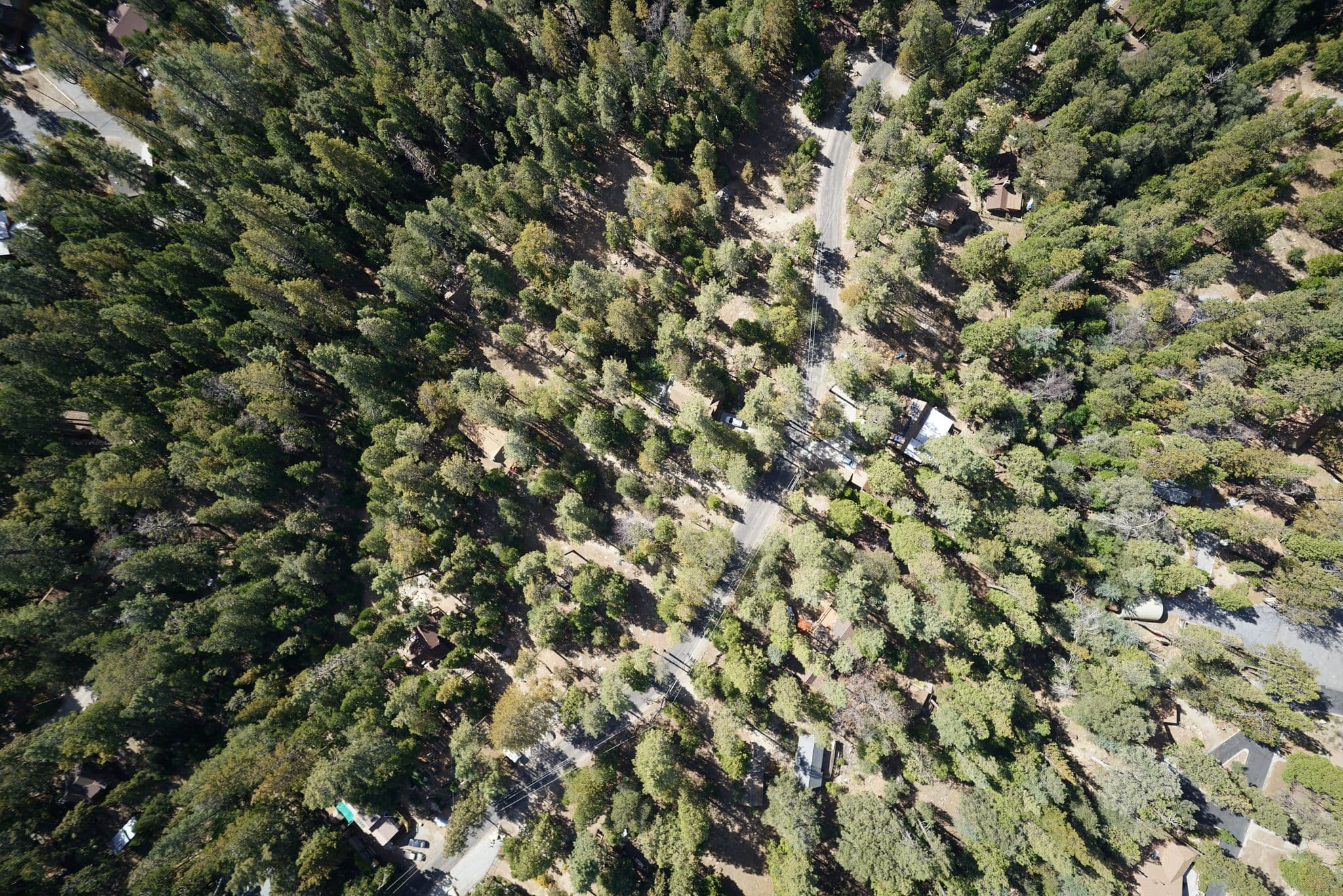 Street view near Cozy Cabin, Idyllwild — © udsinc (CC BY-SA · Mapillary)