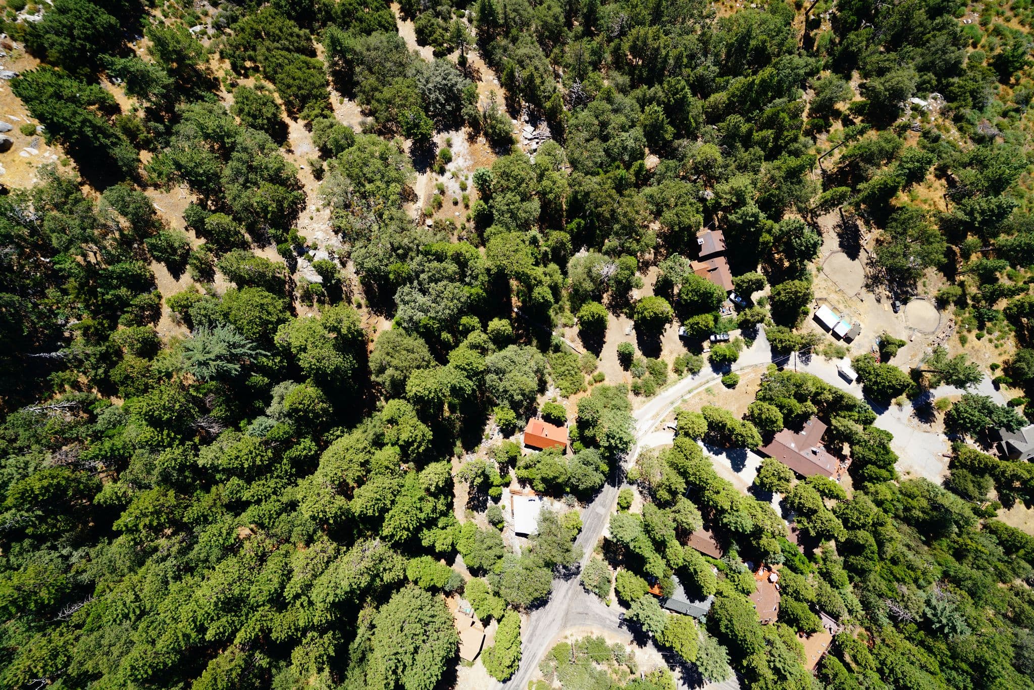 Street view near Timbered Pines, Idyllwild-Pine Cove — © udsinc (CC BY-SA · Mapillary)