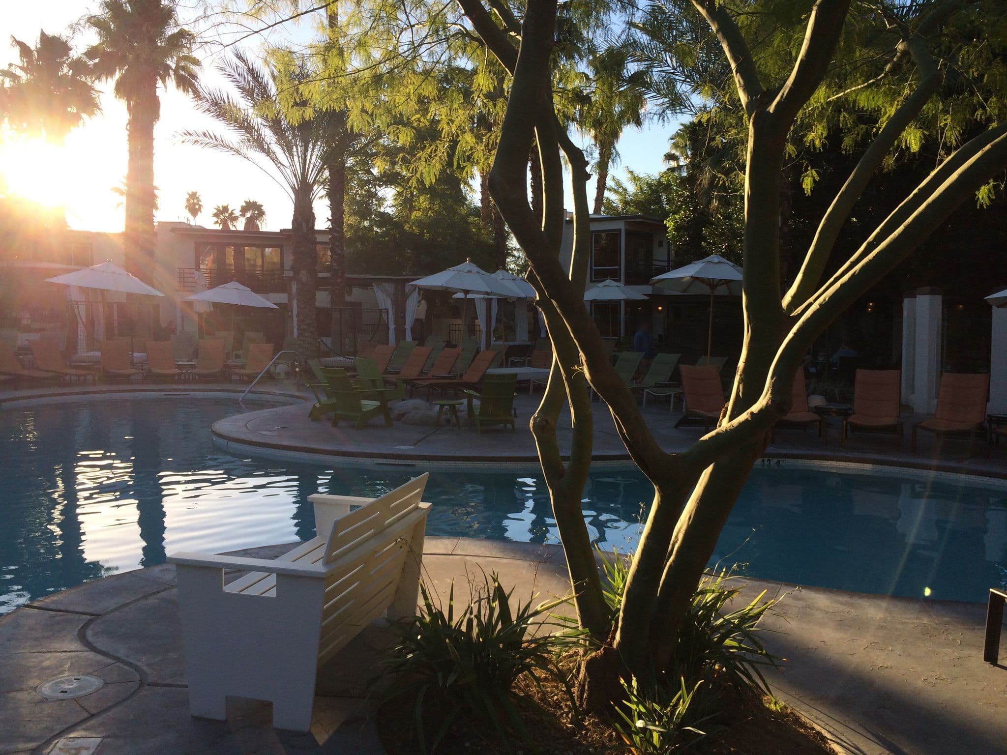 Street view near Bikini Bar at the Riviera Palm Springs, Palm Springs — © jesolem (CC BY-SA · Mapillary)