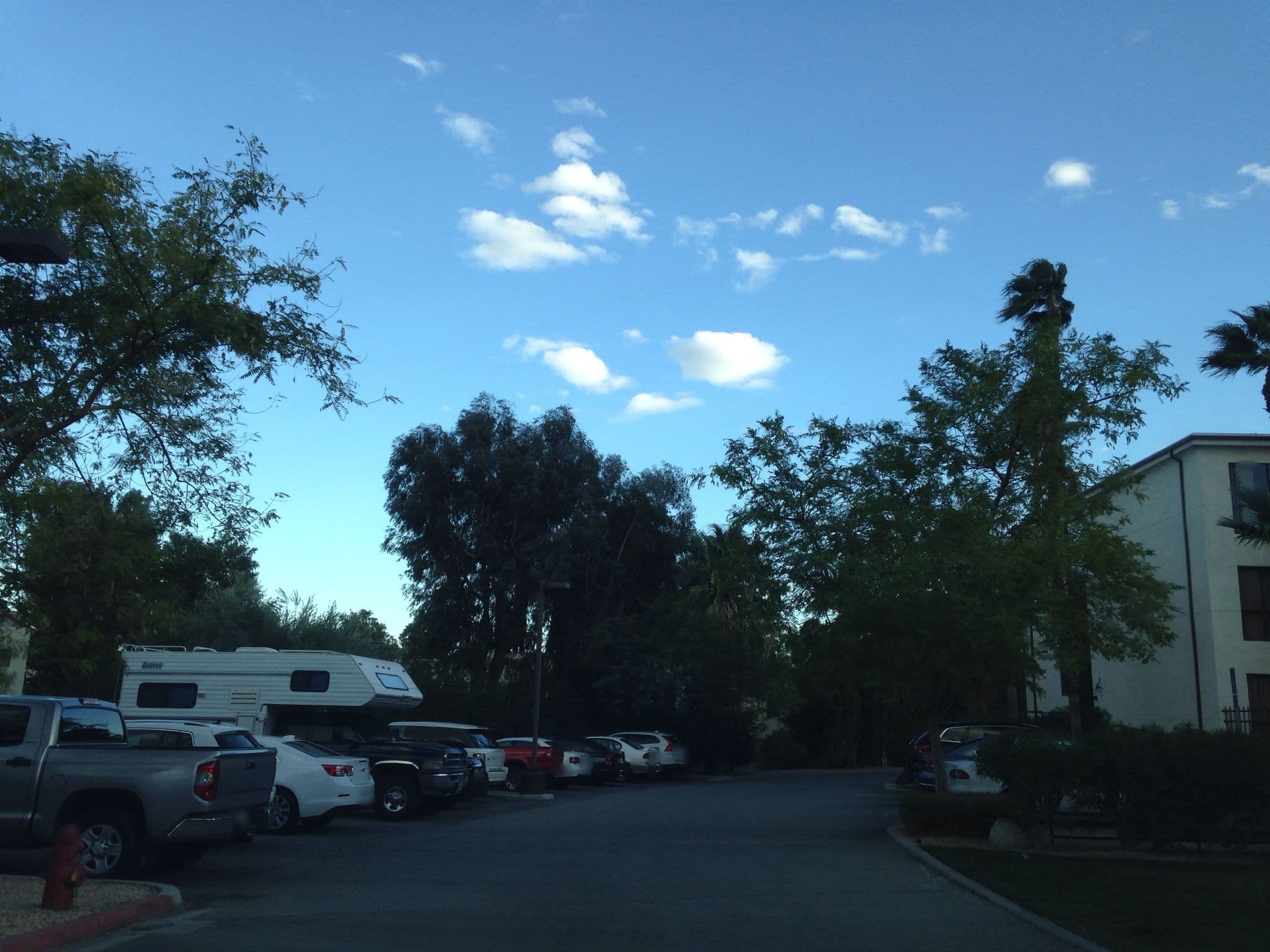 Street view near Lone Palm Pool, Palm Springs — © sarawabreus (CC BY-SA · Mapillary)