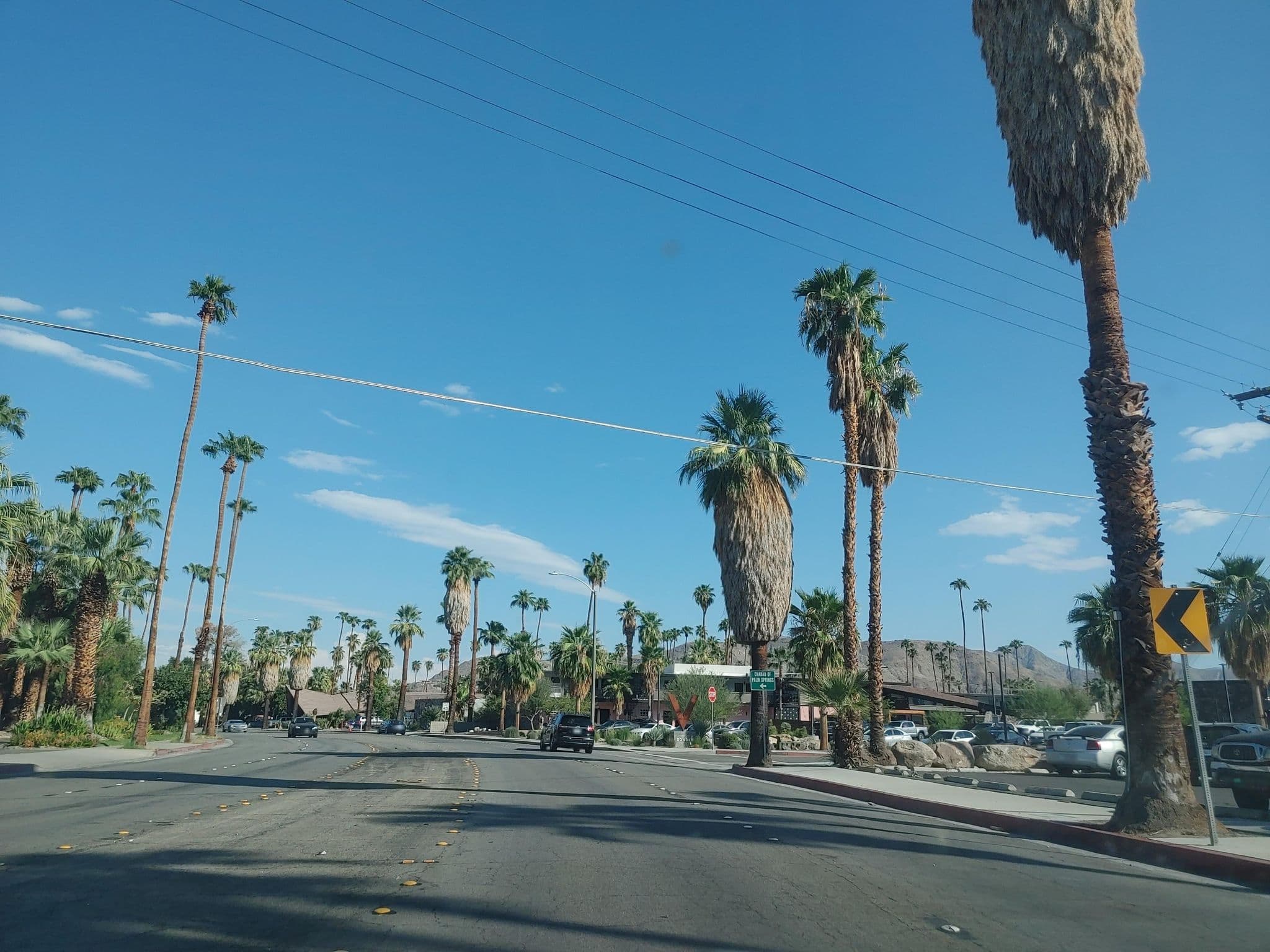 Street view near The Three Ten Hotel, Palm Springs — © nmixter (CC BY-SA · Mapillary)