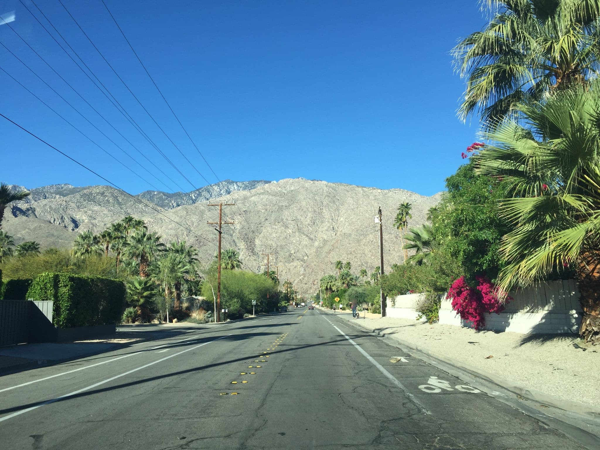 Street view near Enclave in the Sun, Palm Springs — © jesolem (CC BY-SA · Mapillary)