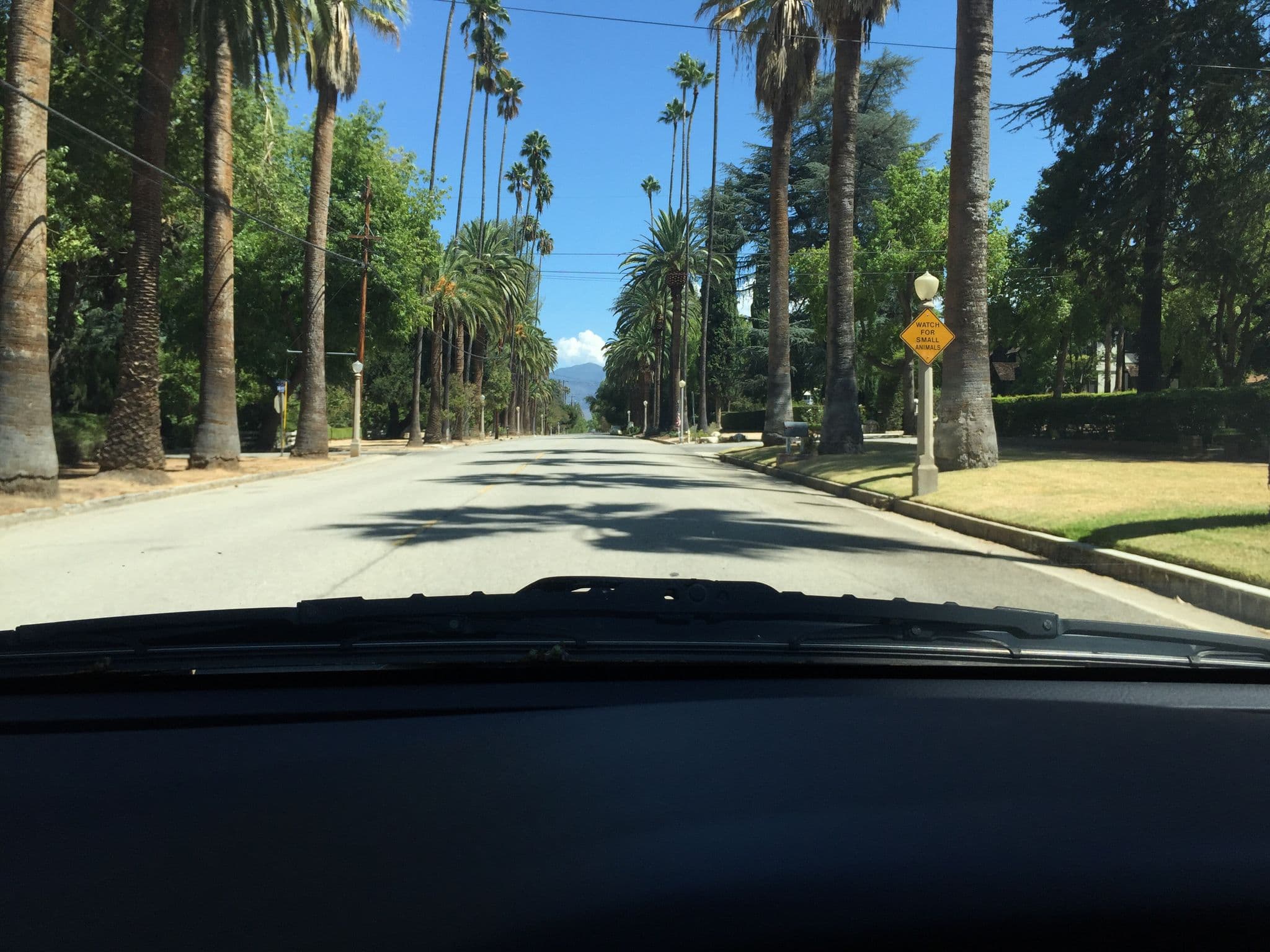 Street view near Budget Inn Motel, Redlands — © crowdsource (CC BY-SA · Mapillary)