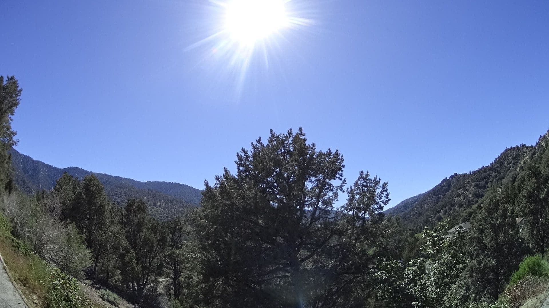Street view near Mountain View Cabin and Motel, Wrightwood — © mly_la (CC BY-SA · Mapillary)