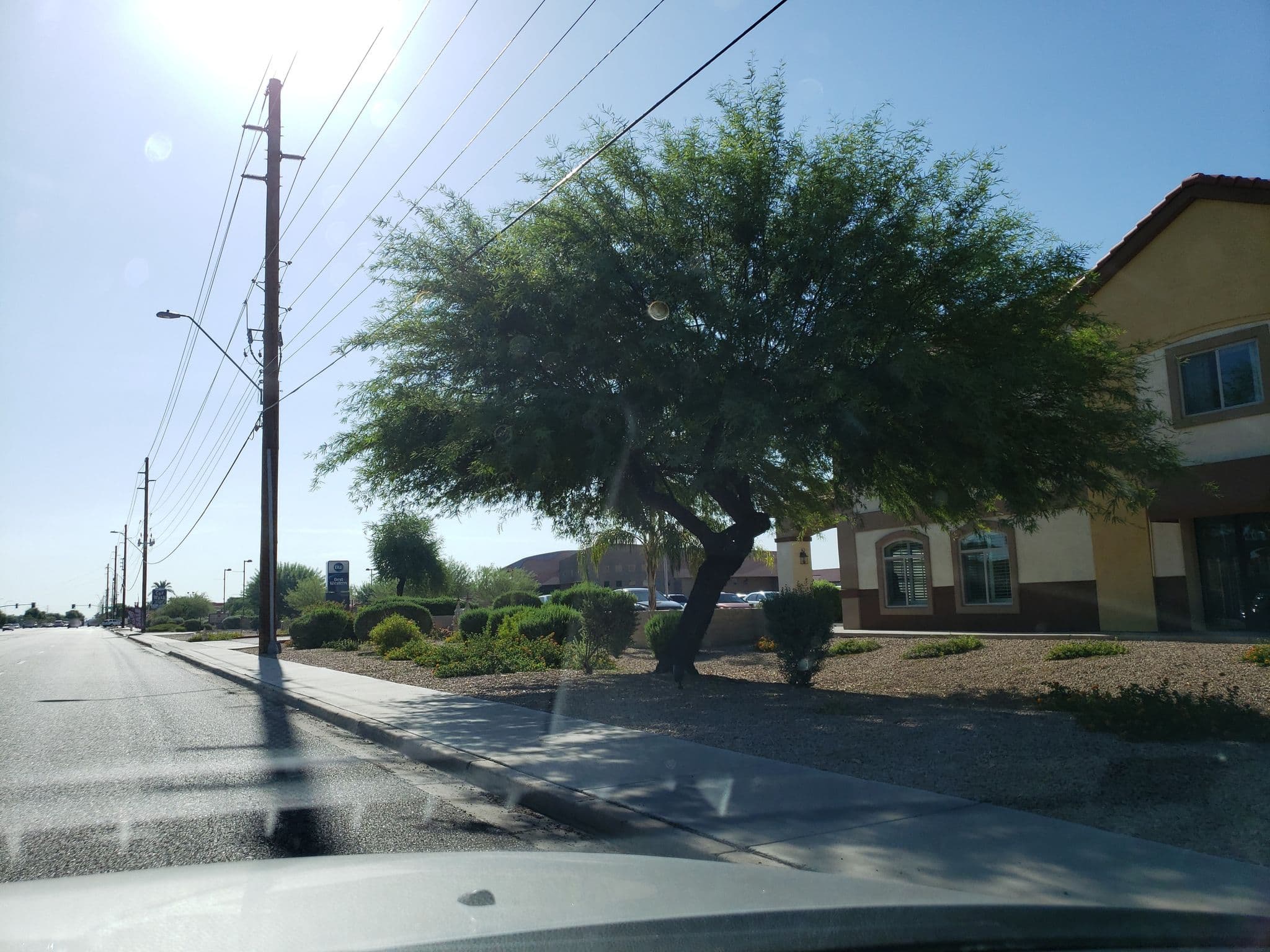 Street view near Best Western Tolleson Arizona, Tolleson — © drkludge (CC BY-SA · Mapillary)