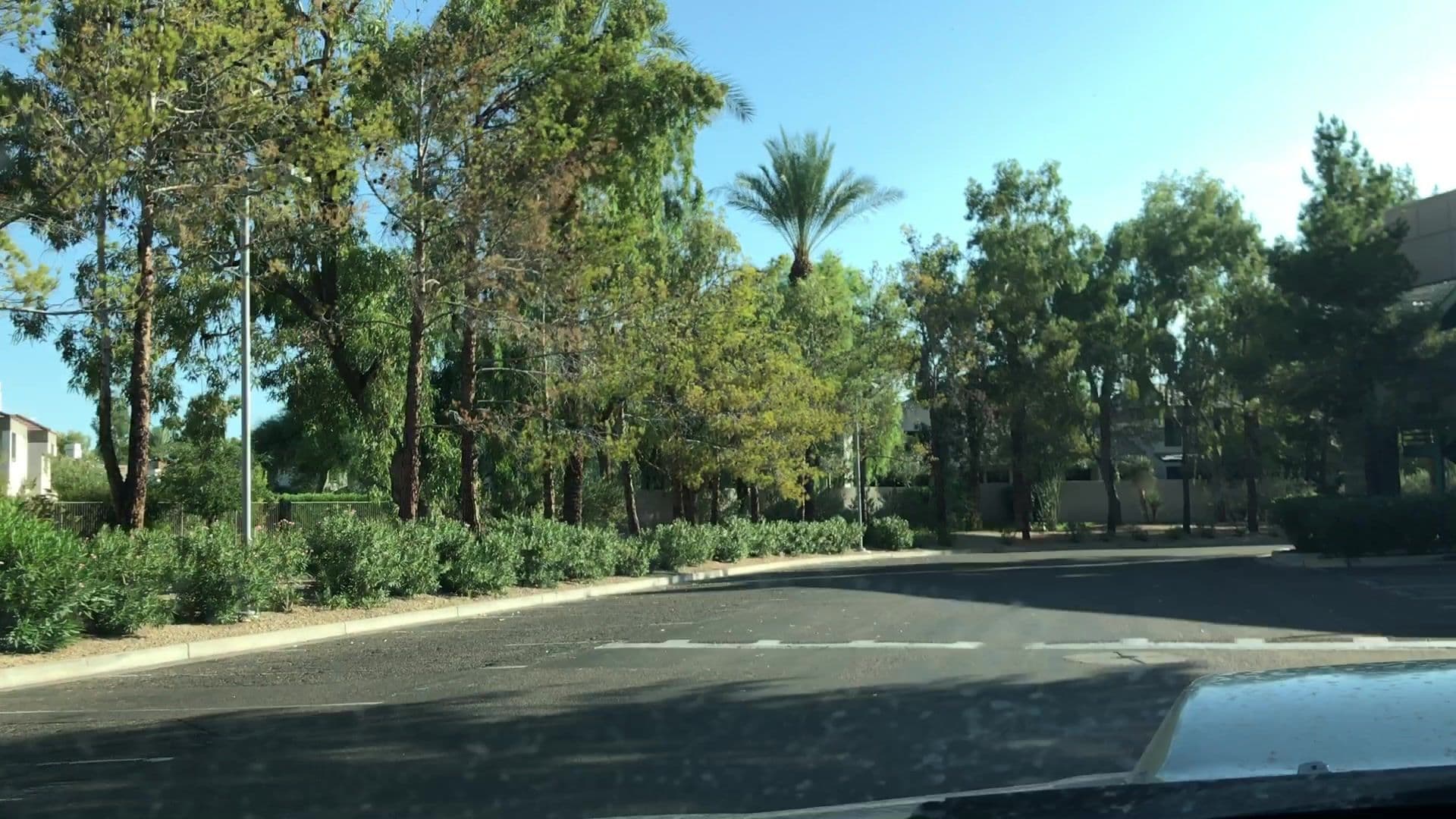 Street view near McGraw-Hill Strategic Management Symposium, Paradise Valley — © lvl5 (CC BY-SA · Mapillary)