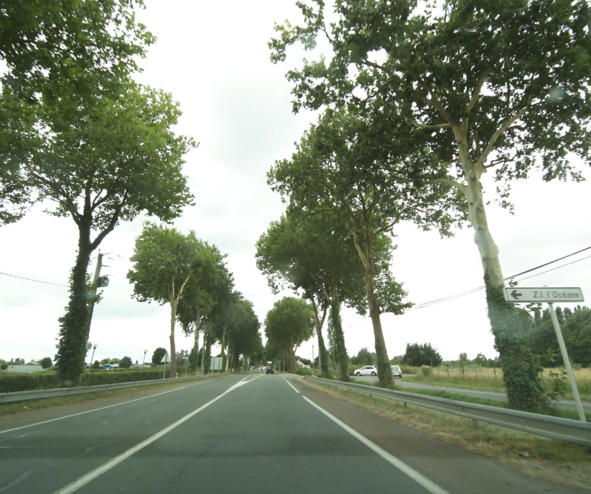 Street view near Anjou à l’Océane, Pellouailles-les-Vignes — © sogefi (CC BY-SA · Mapillary)