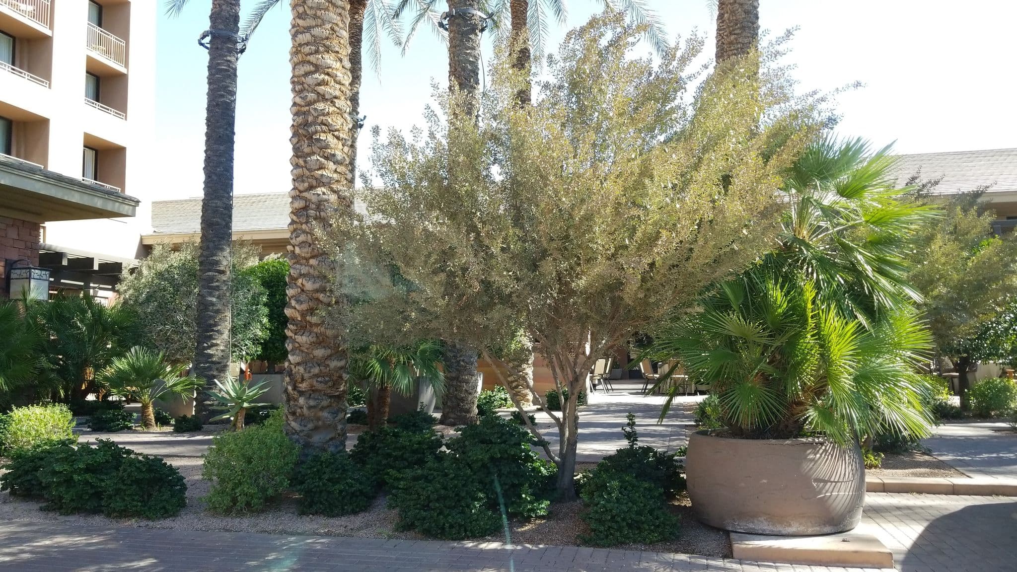 Street view near 2011 PCI Community Meeting, Paradise Valley — © drkludge (CC BY-SA · Mapillary)