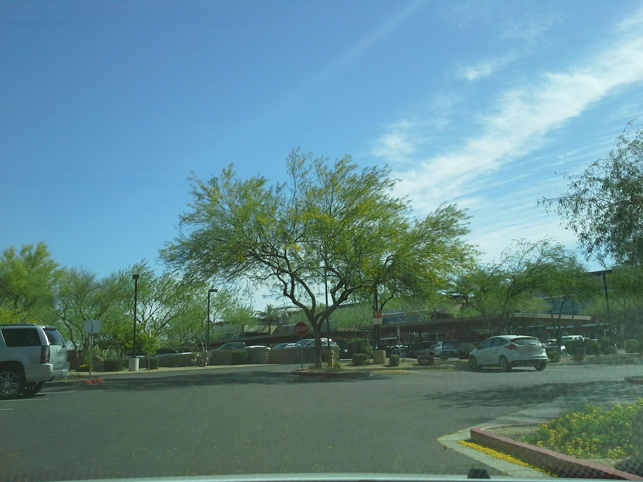 Street view near Wingate Hotel, Paradise Valley — © drkludge (CC BY-SA · Mapillary)