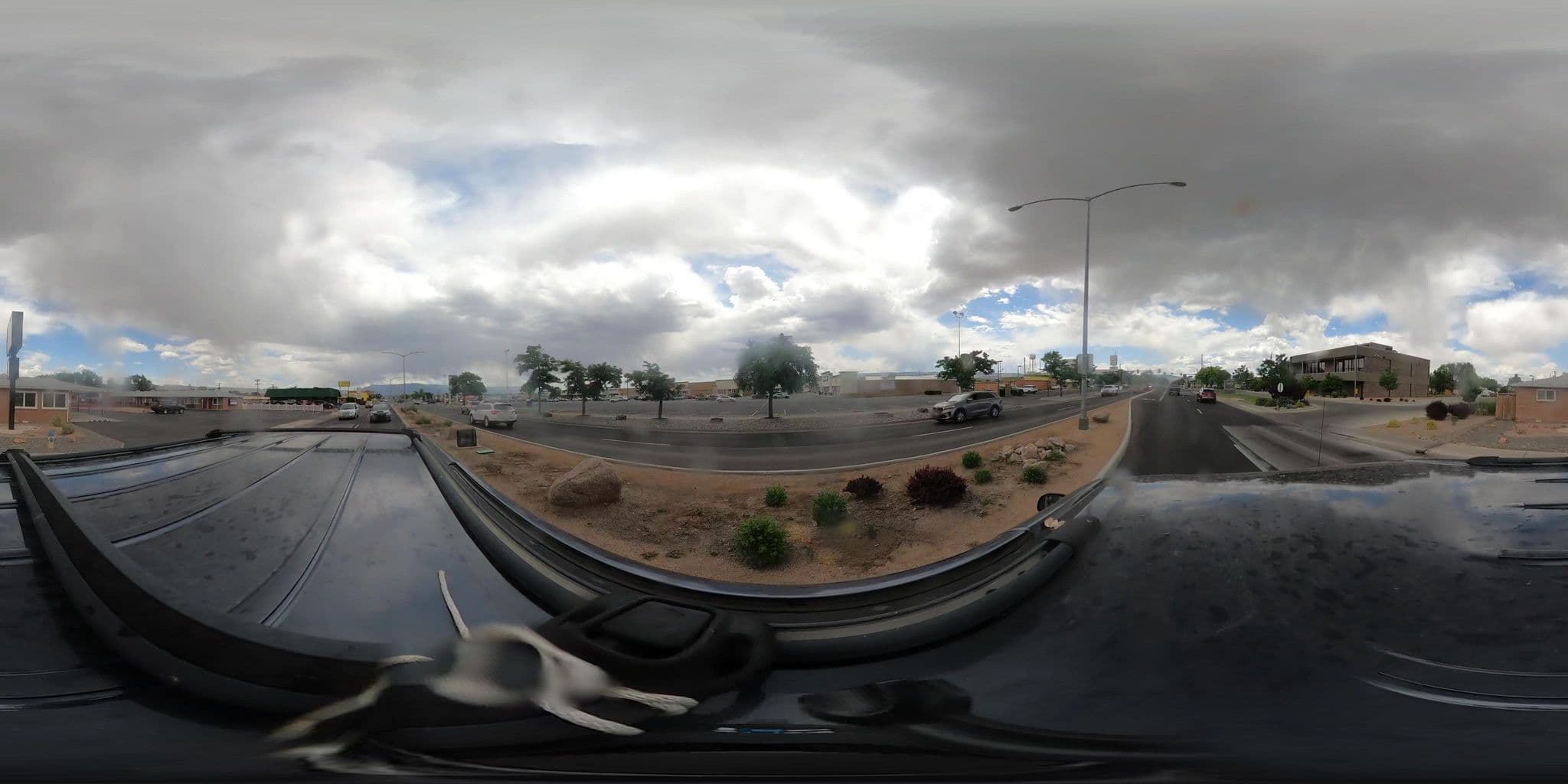 Street view near El palomino, Grand Junction — © vorpalblade (CC BY-SA · Mapillary)