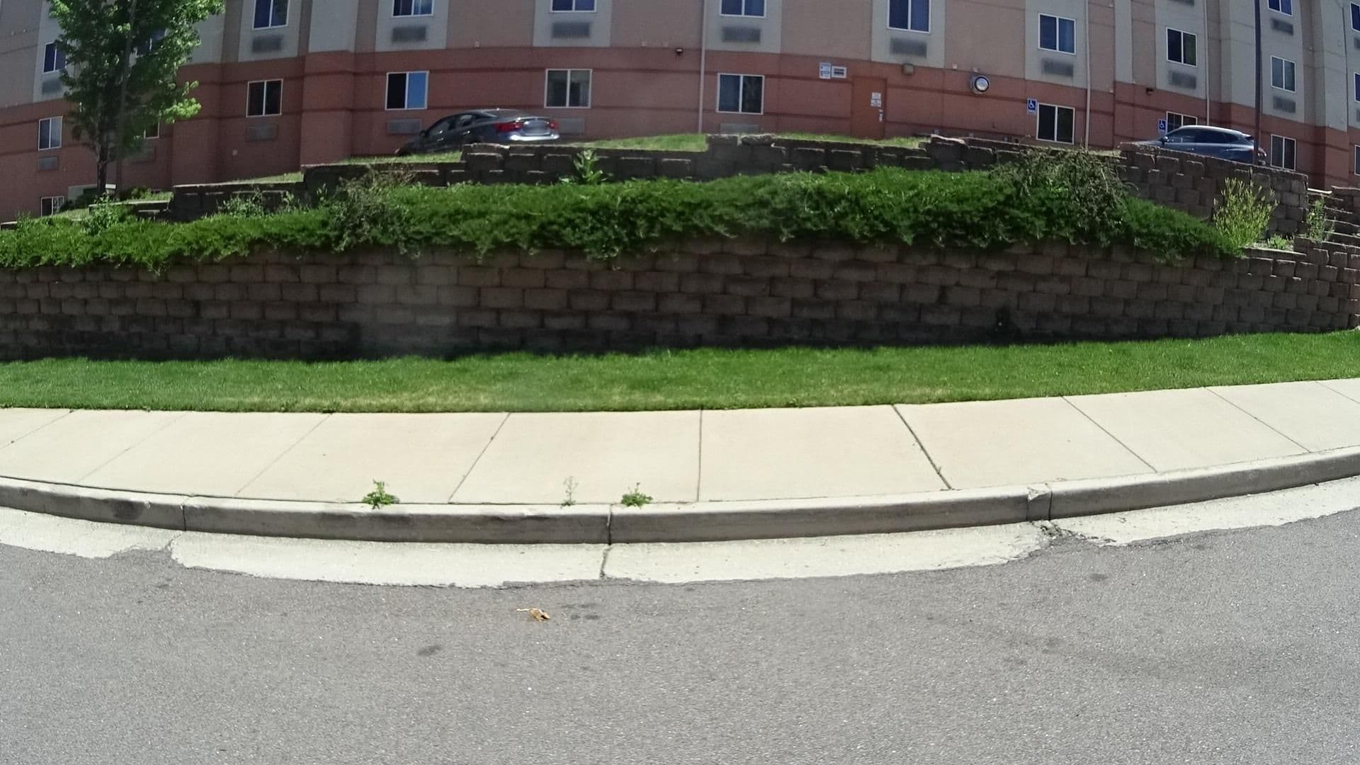 Street view near MCM Elegante Suites Colorado Springs, Air Force Academy — © marker_geo (CC BY-SA · Mapillary)