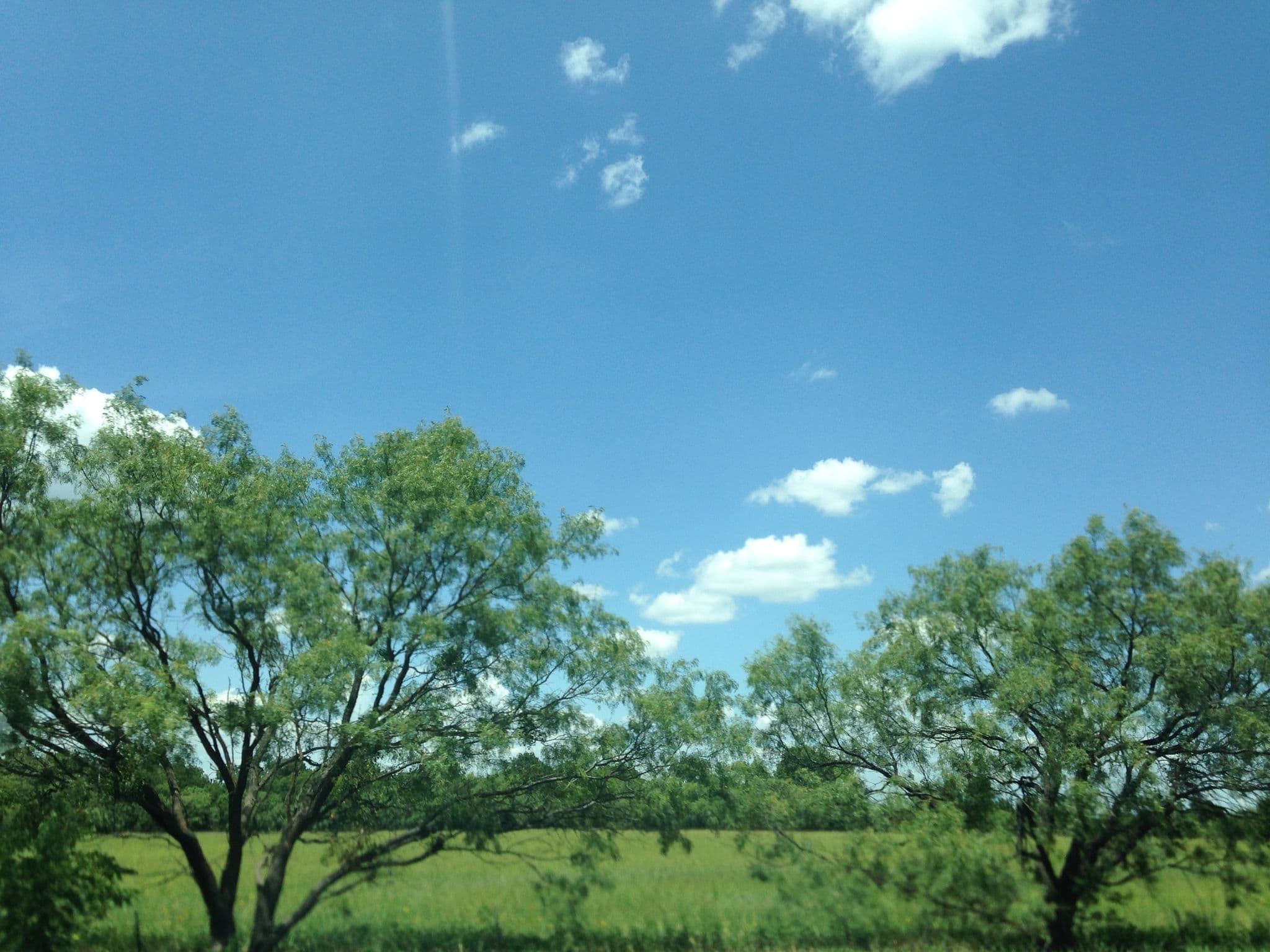 Street view near Best Western Coleman Inn, Coleman — © mapper84 (CC BY-SA · Mapillary)