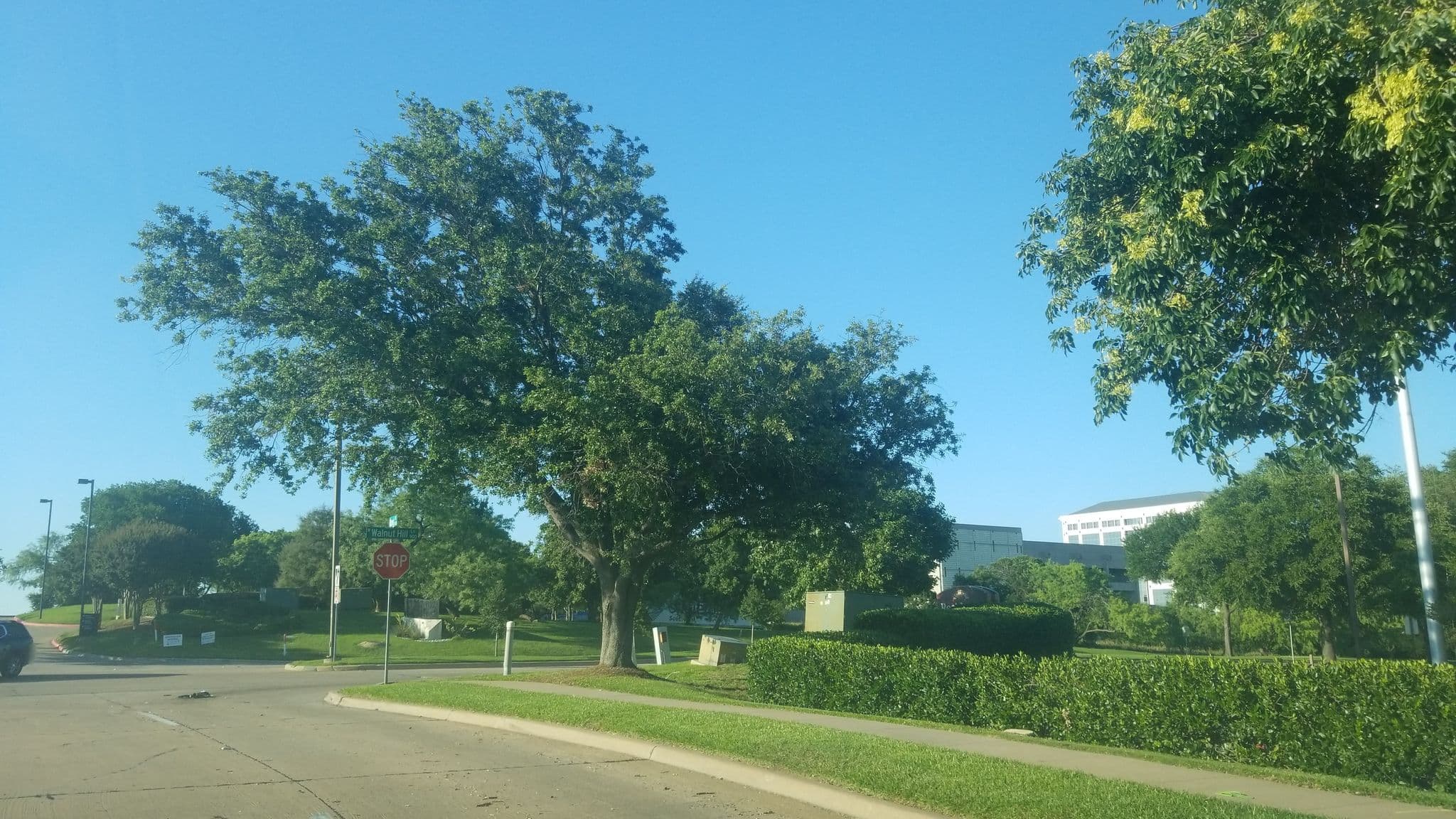 Street view near Residence Inn by Marriott, Farmers Branch — © mselliott (CC BY-SA · Mapillary)