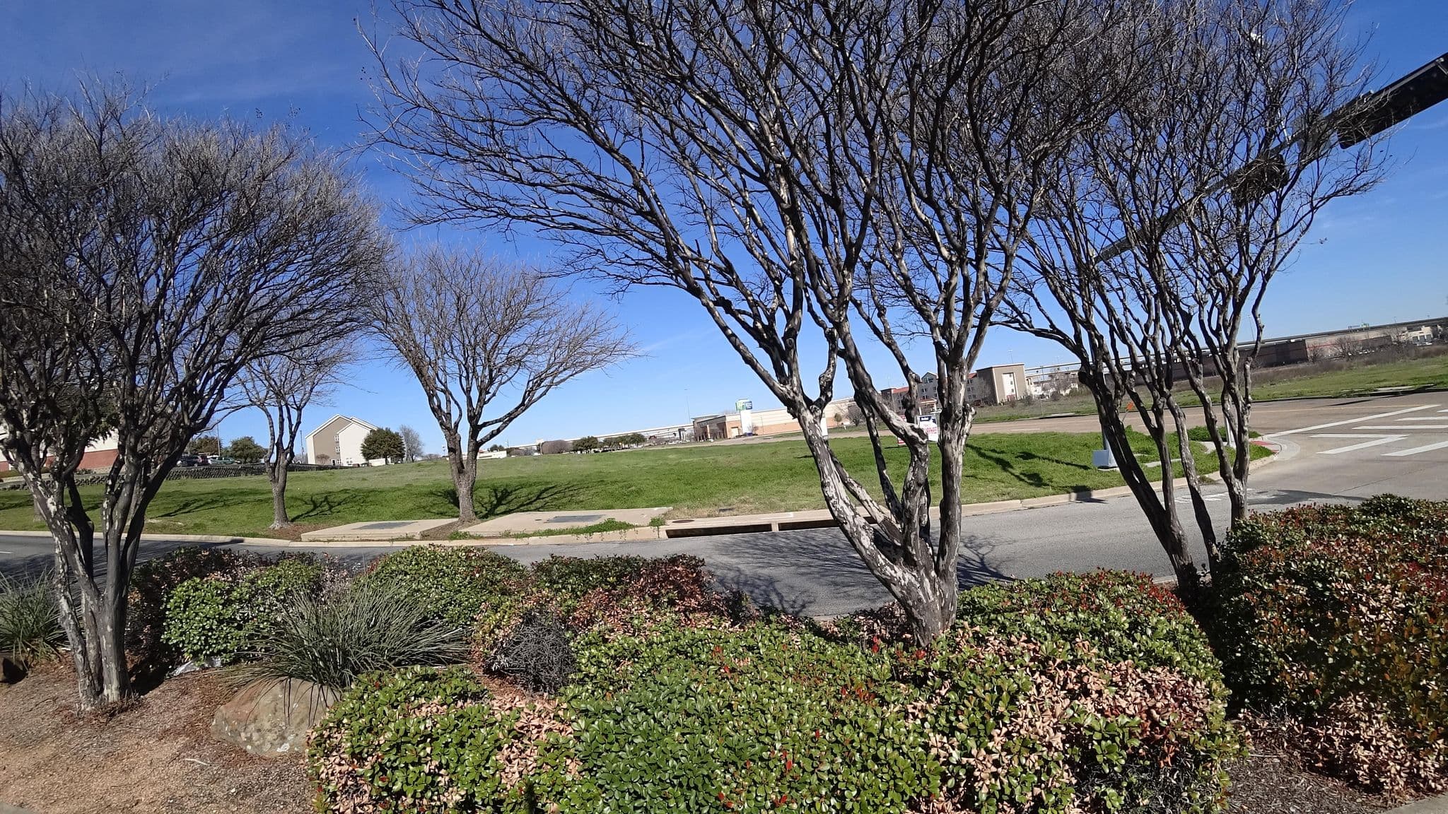 Street view near Magnolia Lodging, Lewisville — © bwyatt516 (CC BY-SA · Mapillary)