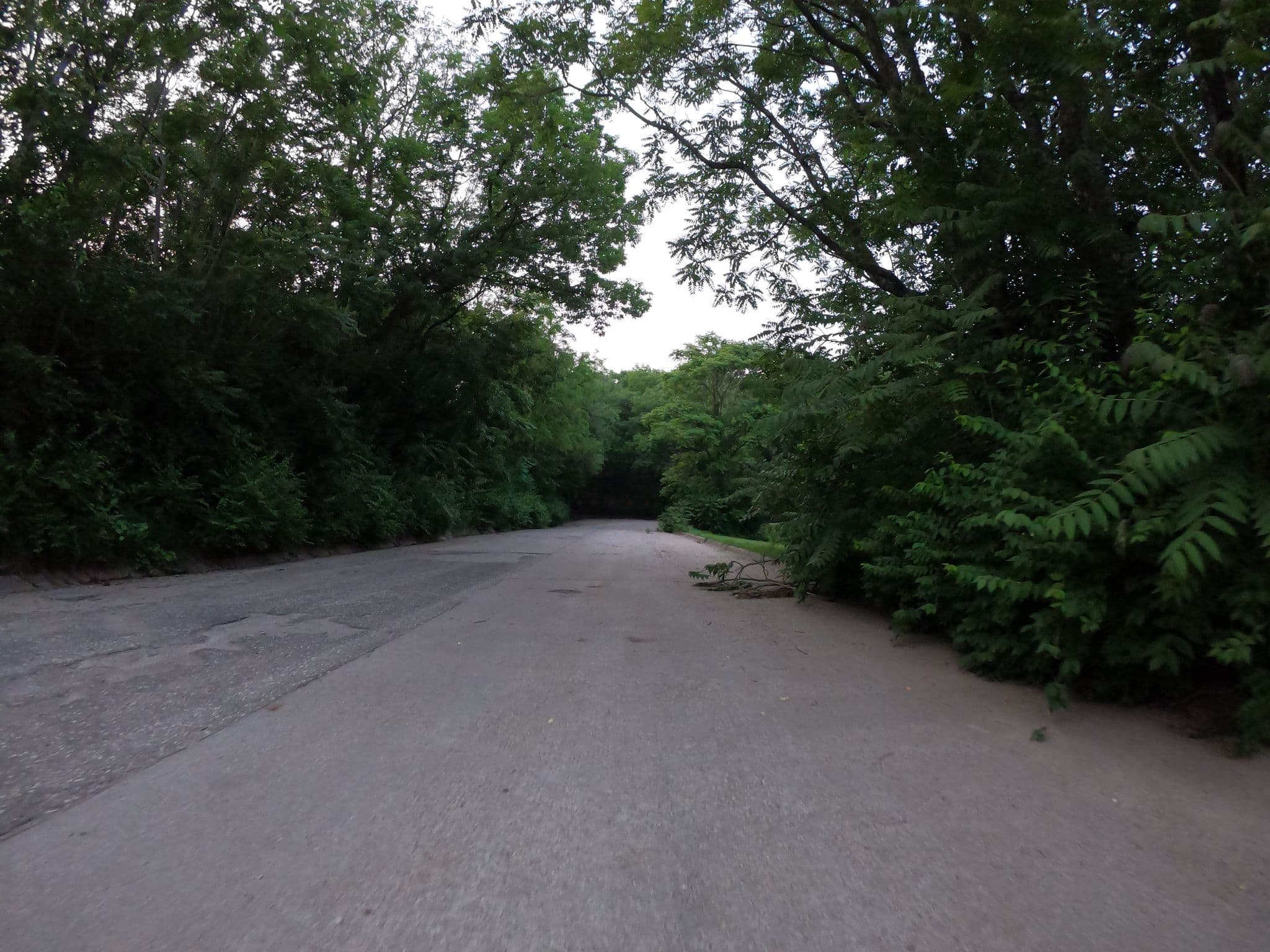 Street view near Regency Inn, Wamego — © toebee (CC BY-SA · Mapillary)