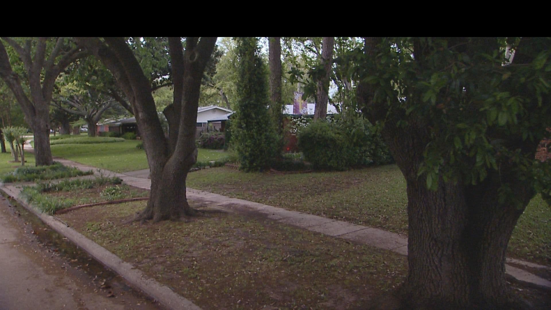 Street view near Shreve Island, Shreveport, LA, Bossier City — © 2023WR (CC BY-SA · Mapillary)