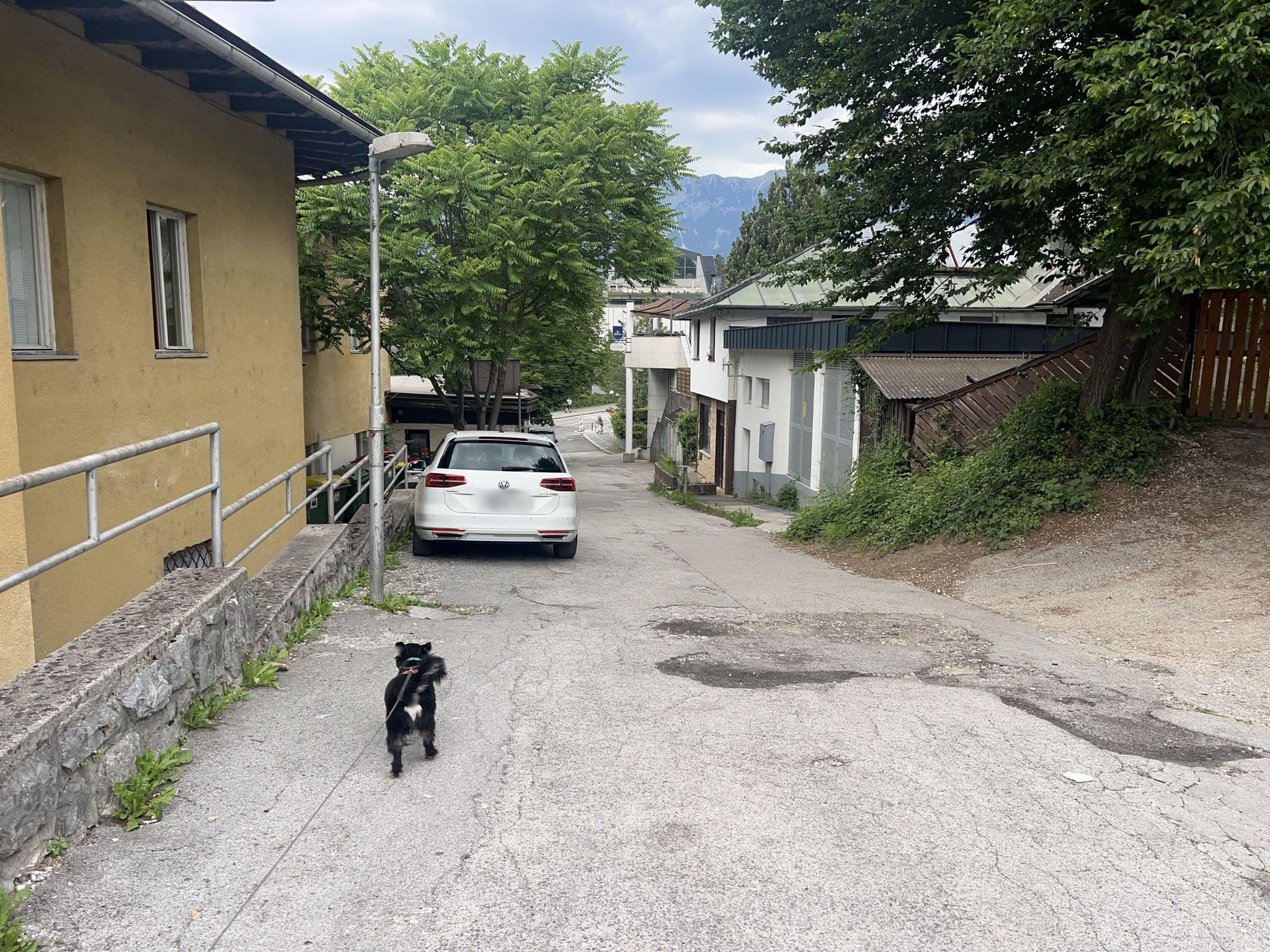 Street view near Hotel Trst, Bled — © igorzo (CC BY-SA · Mapillary)