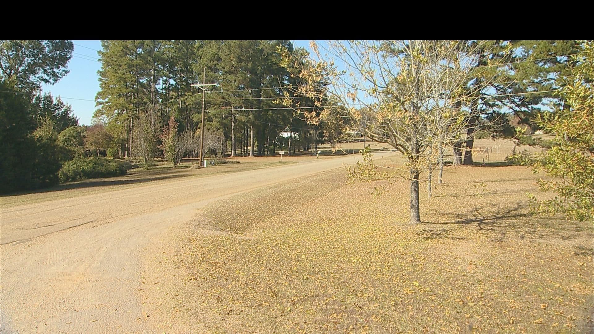 Street view near Henry's Cabins on Lake D'Arbonne, Farmerville — © FF_local (CC BY-SA · Mapillary)