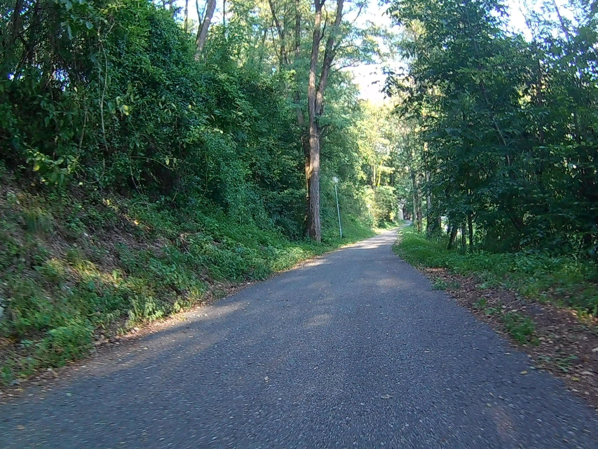 Street view near The River, Dravograd — © buma (CC BY-SA · Mapillary)