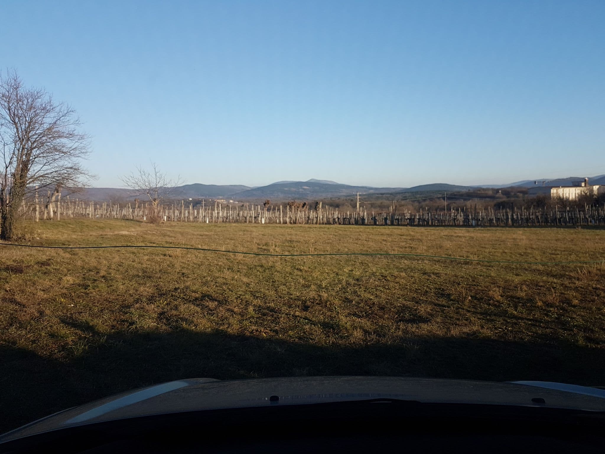 Street view near Domačija Šajna, Sežana — © damjang (CC BY-SA · Mapillary)