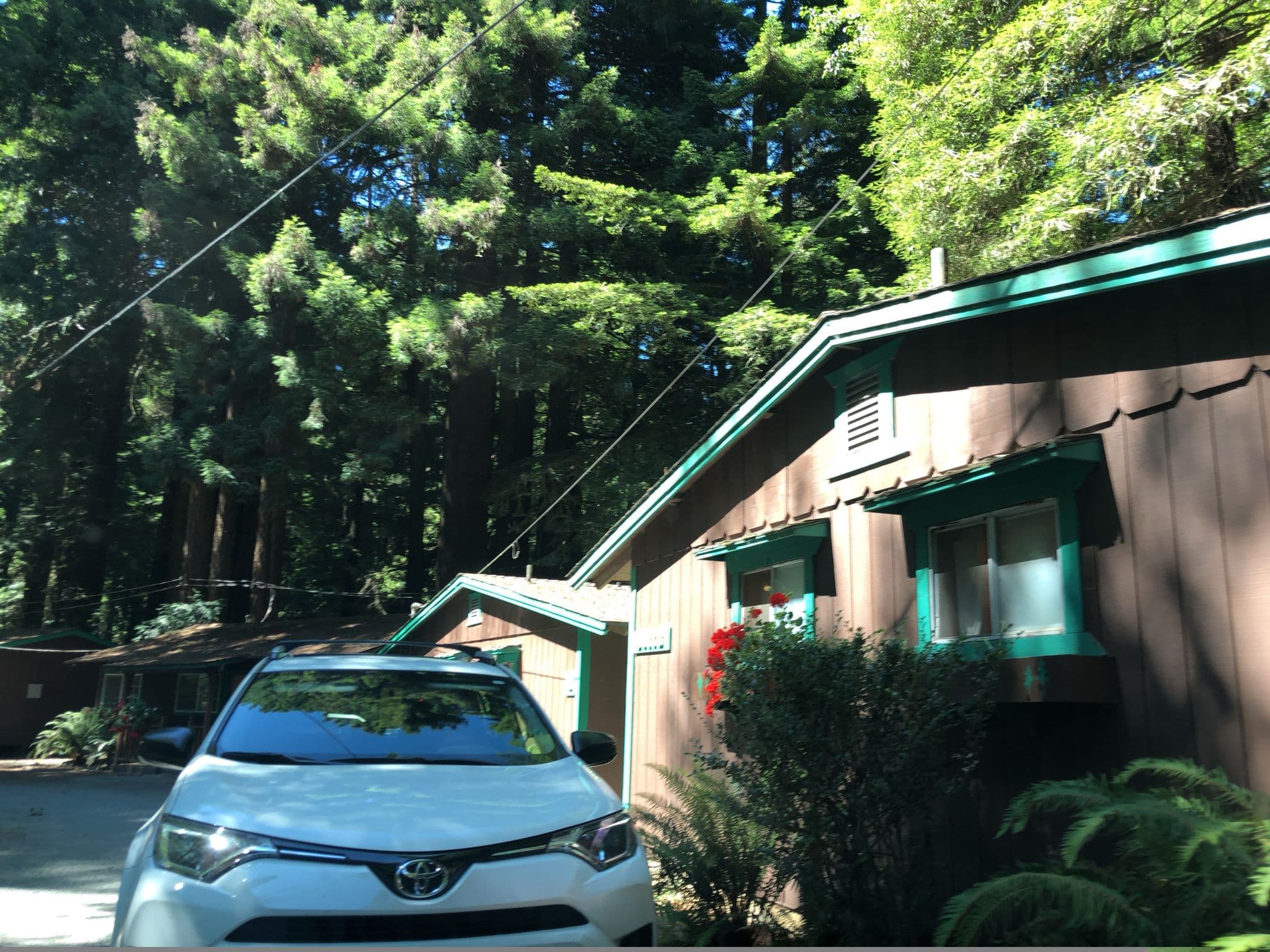 Street view near Rodeway Inn Emerald Forest of Trinidad, Westhaven-Moonstone — © bundlegut (CC BY-SA · Mapillary)