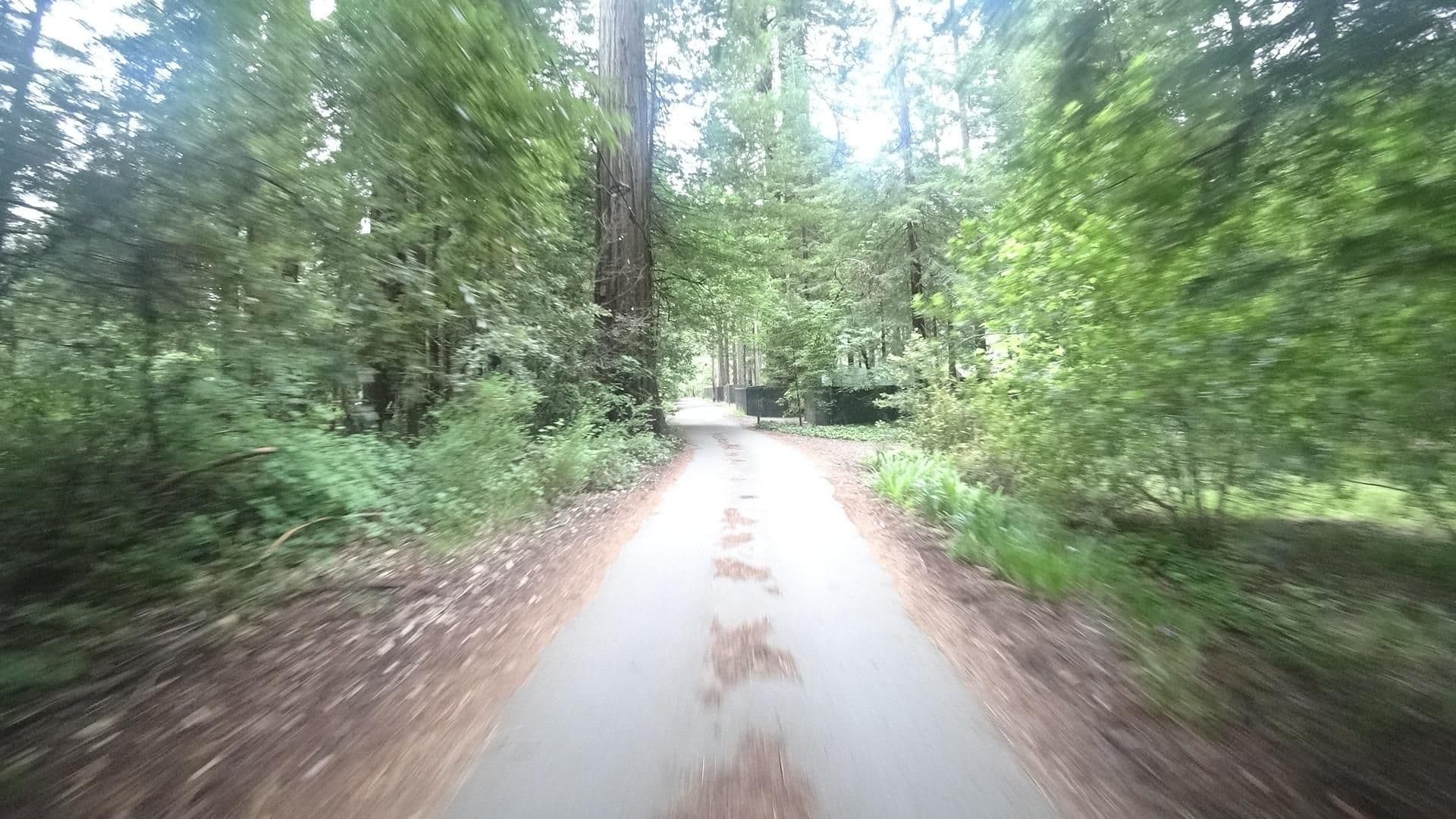 Street view near Black Elk Speaks Guest Cabin, Redway — © marker_geo (CC BY-SA · Mapillary)