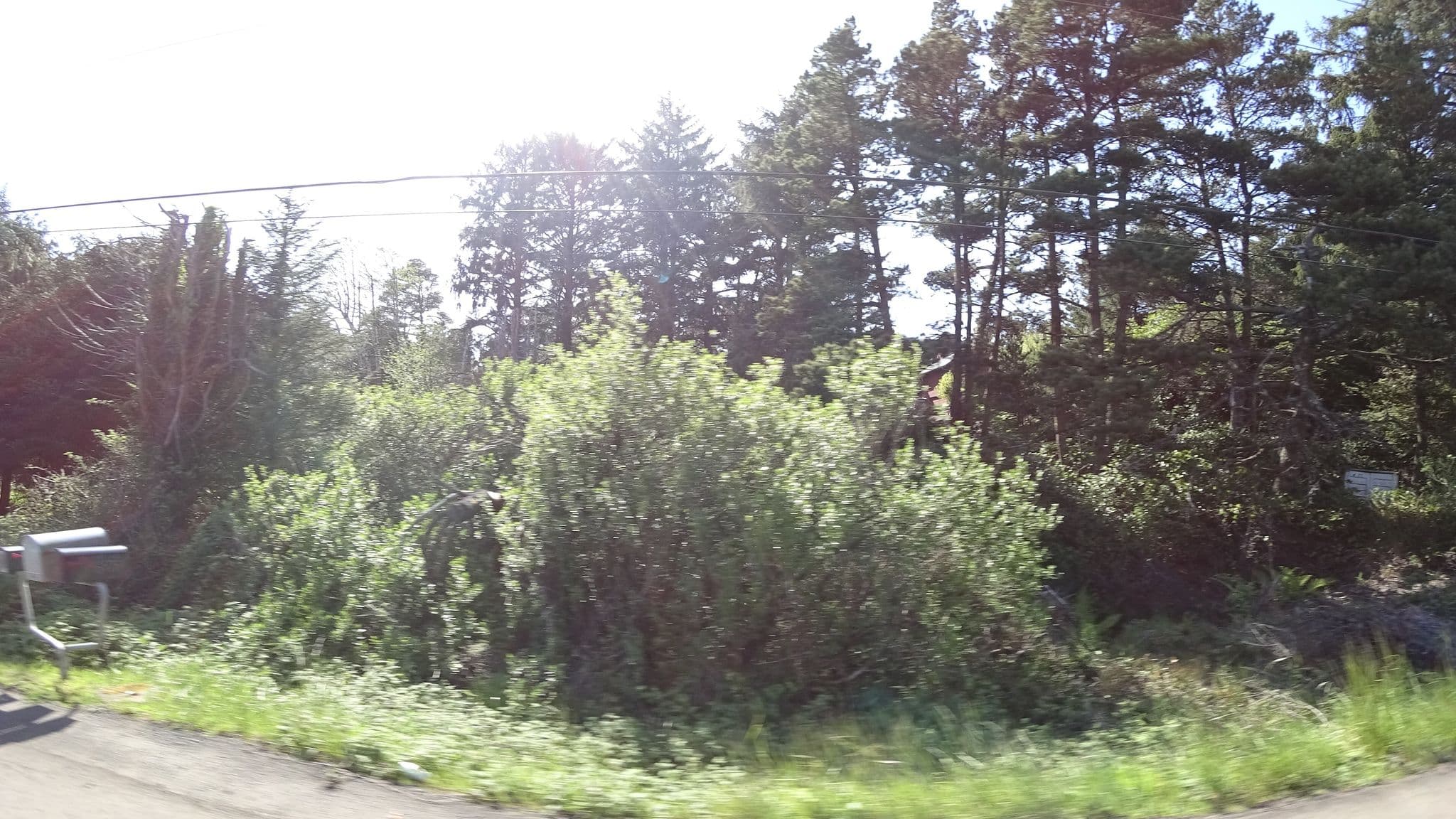 Street view near Vacasa Rentals: Beachcliff - Private Stairway to the Sand, Waldport — © stilldavid (CC BY-SA · Mapillary)