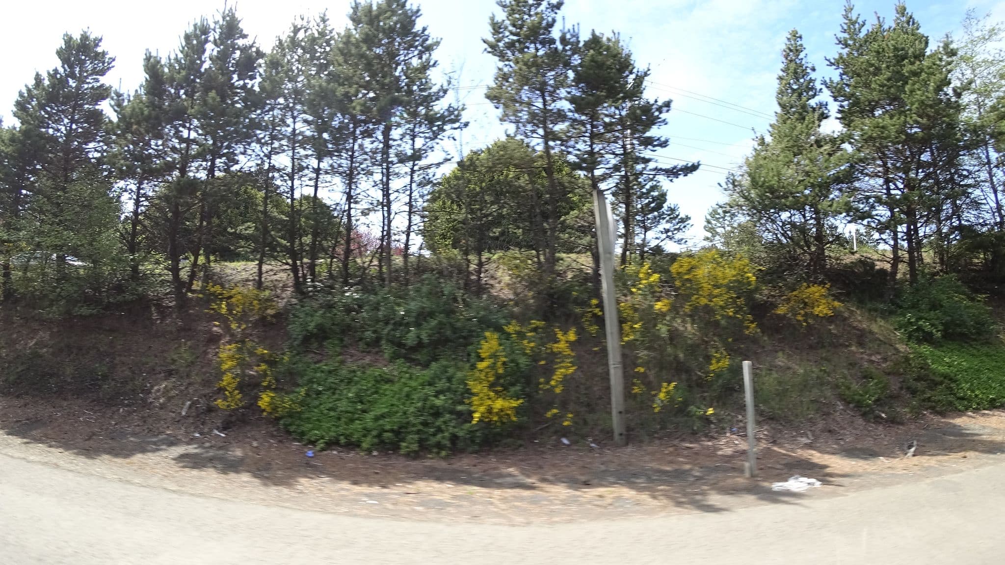 Street view near Trendwest Resorts, Lincoln Beach — © stilldavid (CC BY-SA · Mapillary)