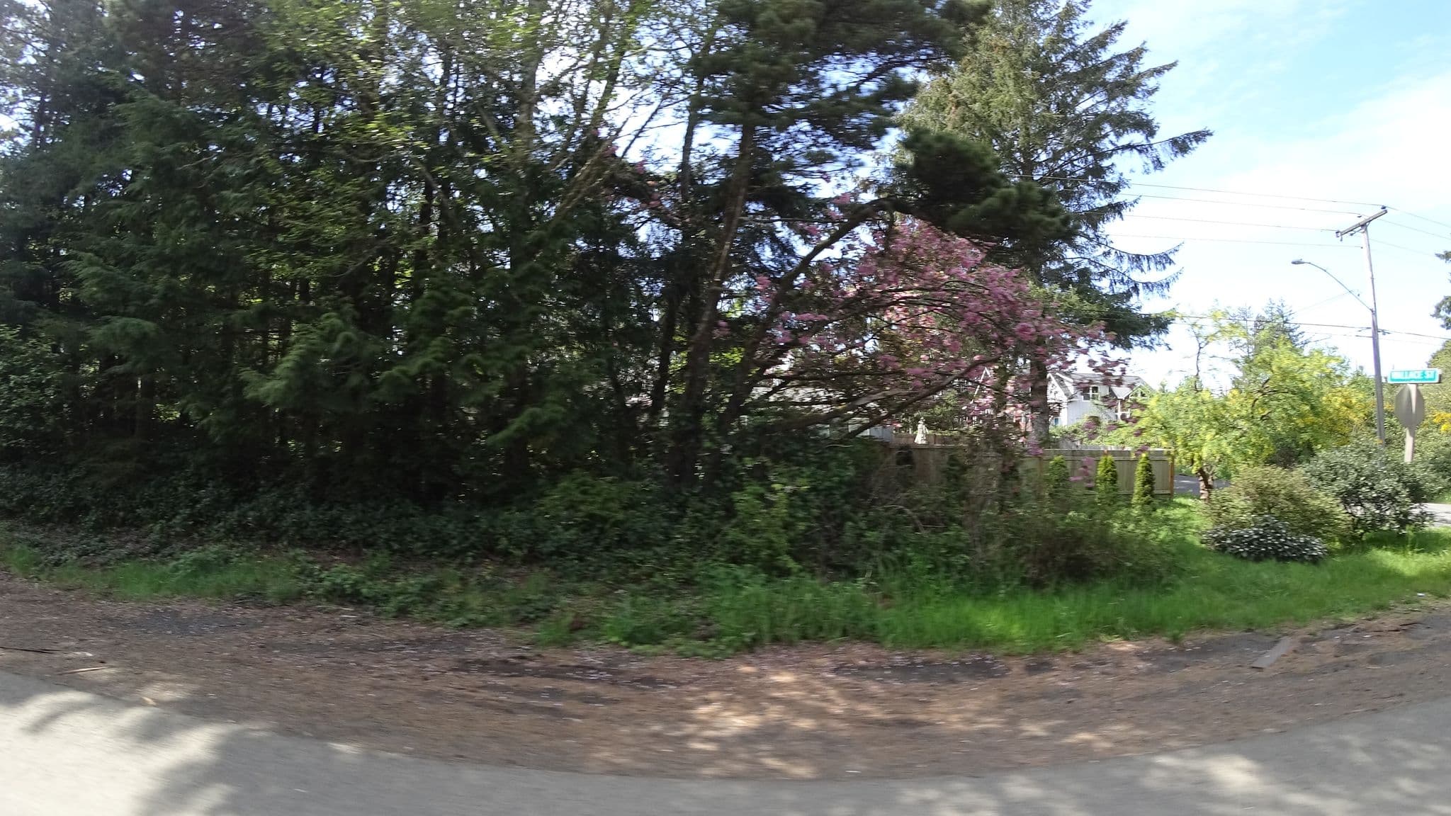 Street view near Vacasa Rentals: The Wallace Beach House, Lincoln Beach — © stilldavid (CC BY-SA · Mapillary)