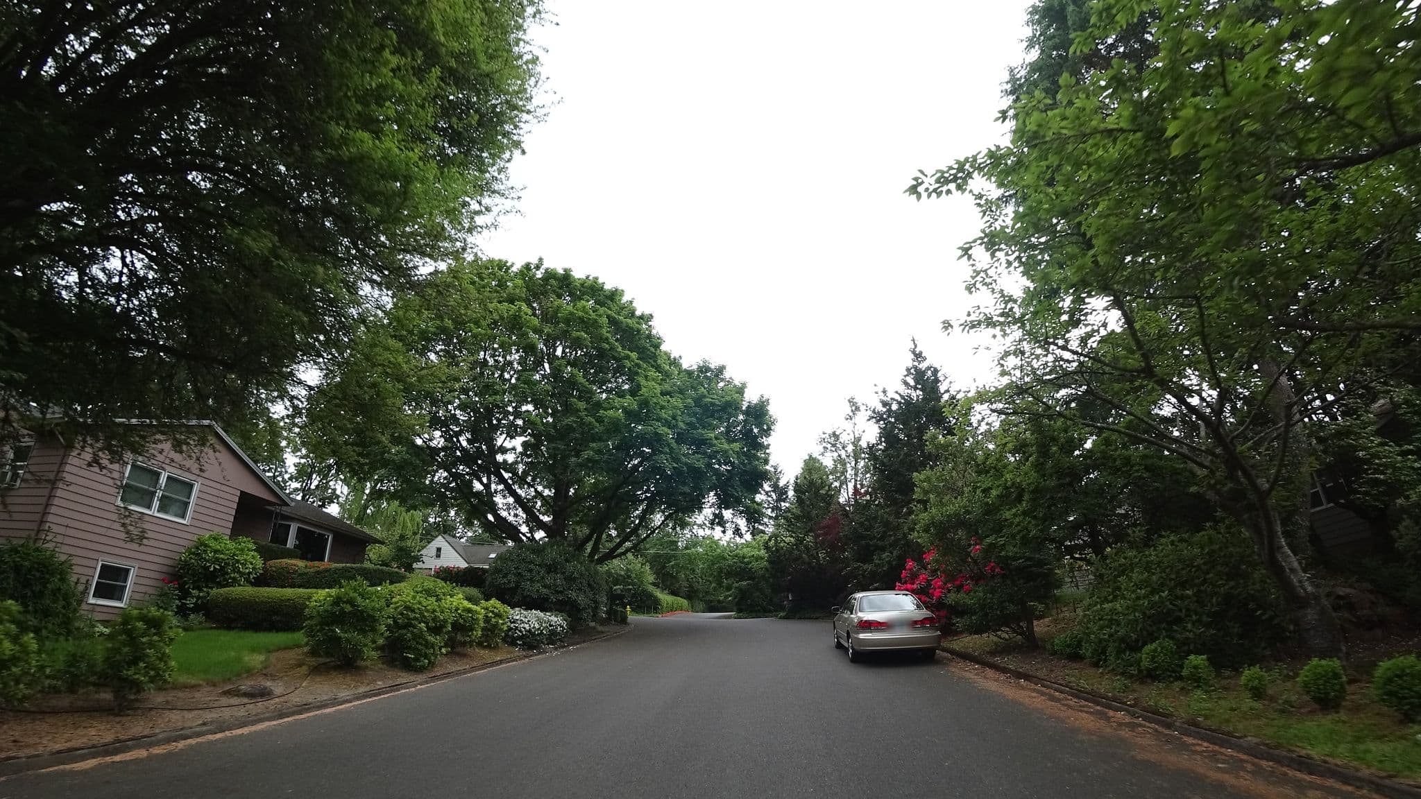 Street view near Inn At McCurdy House, West Slope — © mly_pdx05 (CC BY-SA · Mapillary)