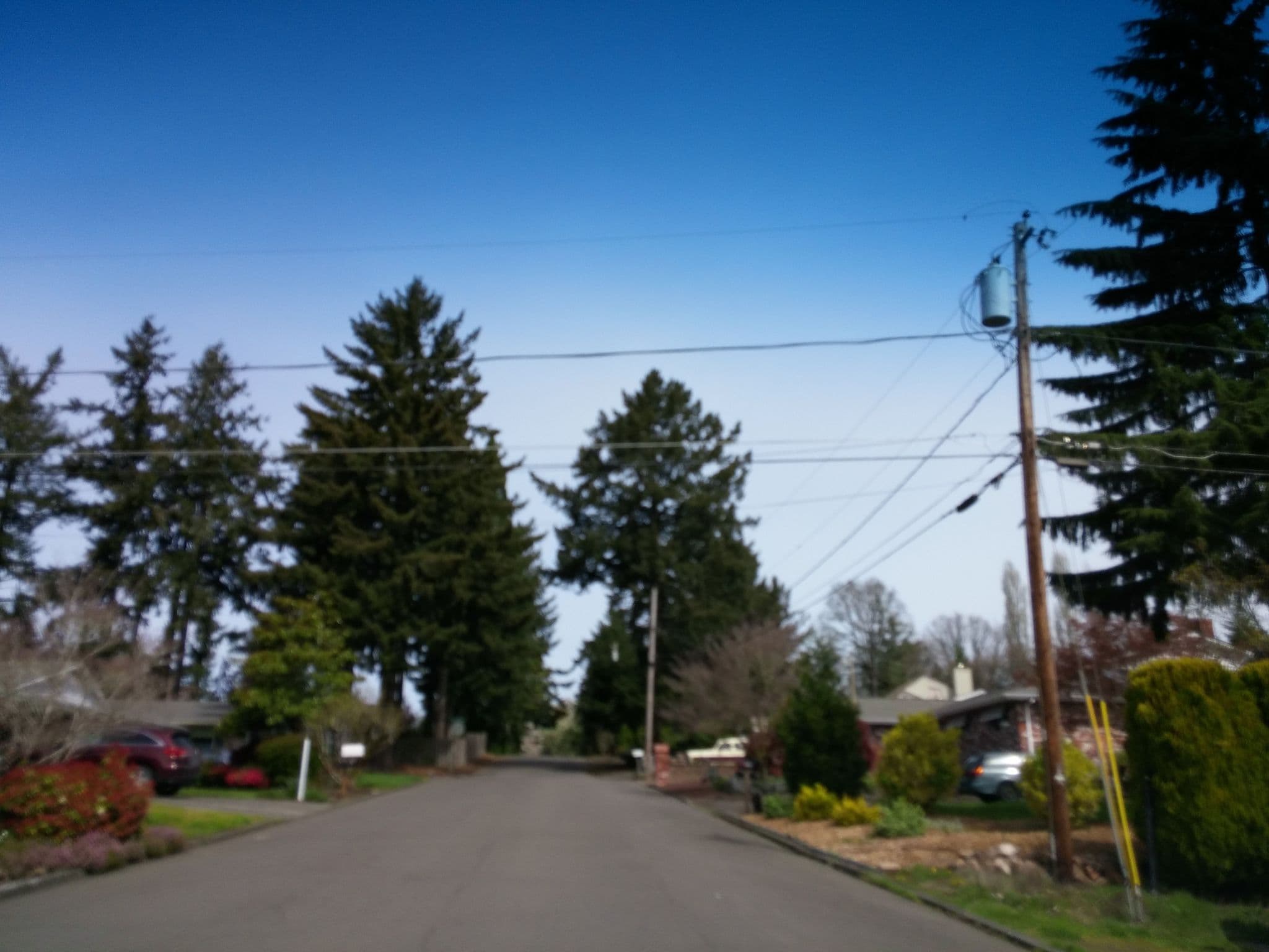 Street view near 21st Century Town Car Service, Cedar Mill — © mly_pdx03 (CC BY-SA · Mapillary)