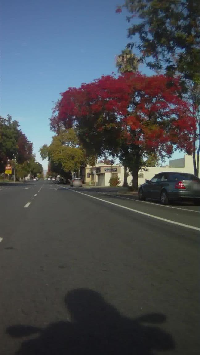 Street view near Evergreen - Coffee Shop + Boutique Hotel, Redding — © richlv (CC BY-SA · Mapillary)
