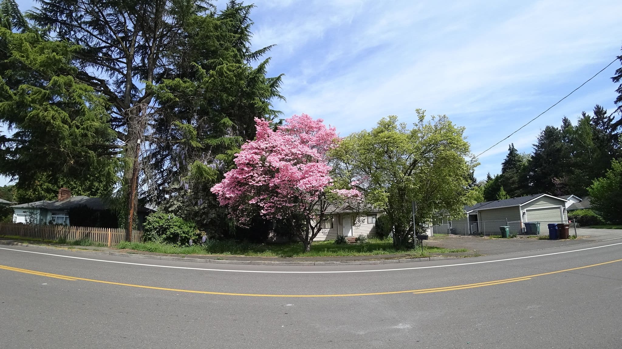 Street view near Swarlos Drop, Milwaukie — © mly_pdx05 (CC BY-SA · Mapillary)