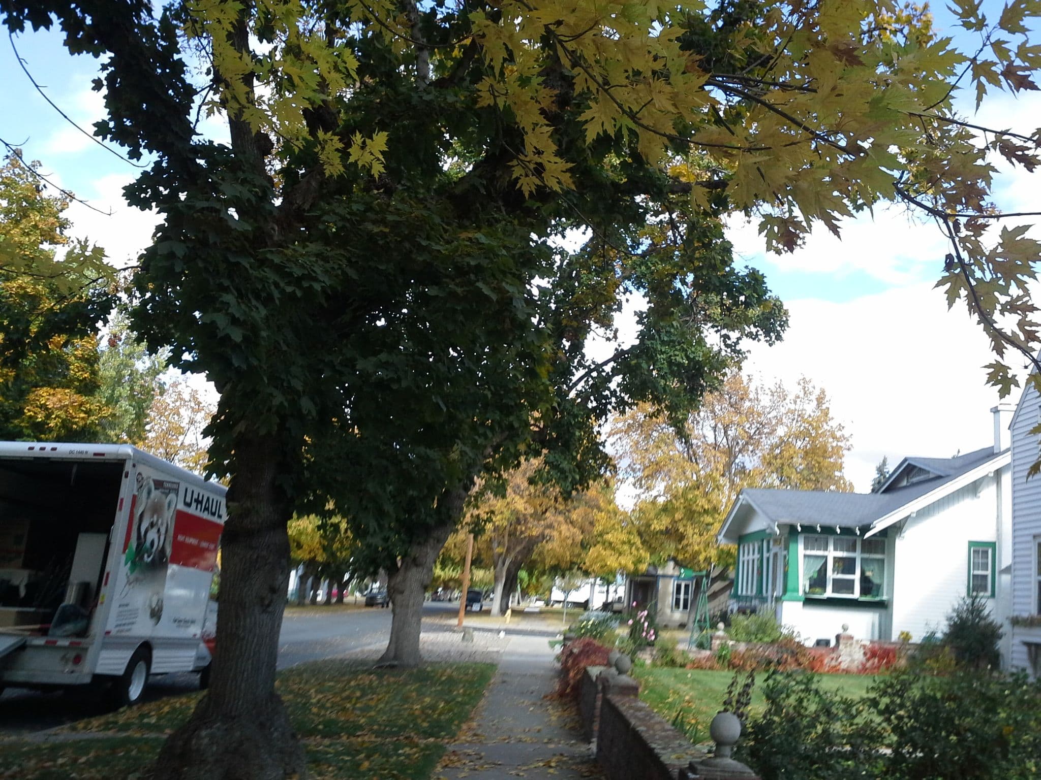Street view near Dancing Goat Inn, Baker City — © rbracket (CC BY-SA · Mapillary)