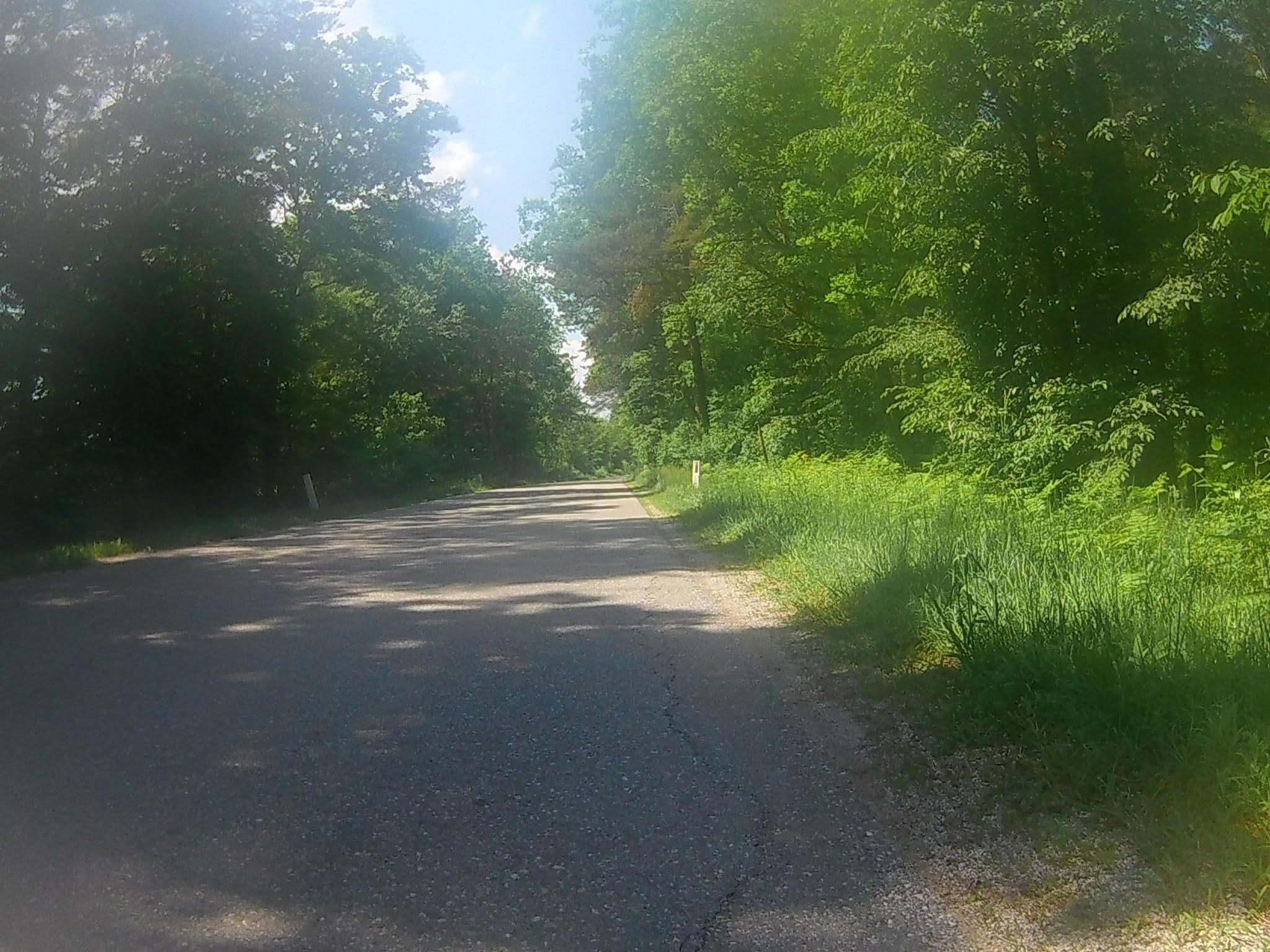 Street view near Green Lake, Kidričevo — © buma (CC BY-SA · Mapillary)