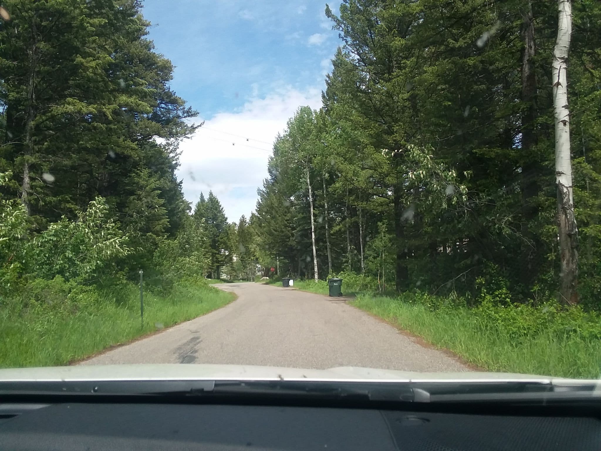 Street view near Colter Ridge Lodge, Moose Wilson Road — © shantalb (CC BY-SA · Mapillary)