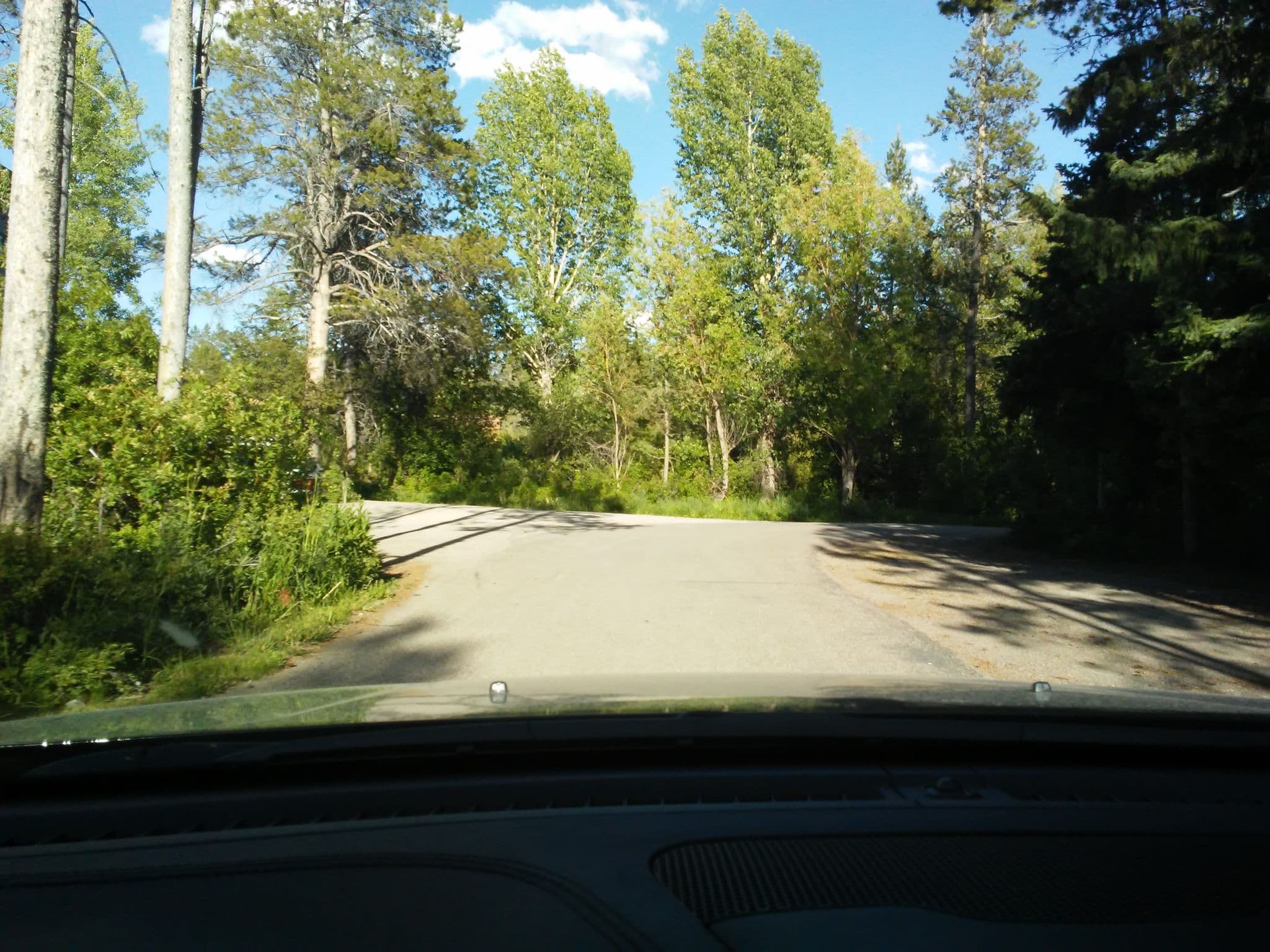 Street view near Berrypatch, Moose Wilson Road — © aqua02 (CC BY-SA · Mapillary)